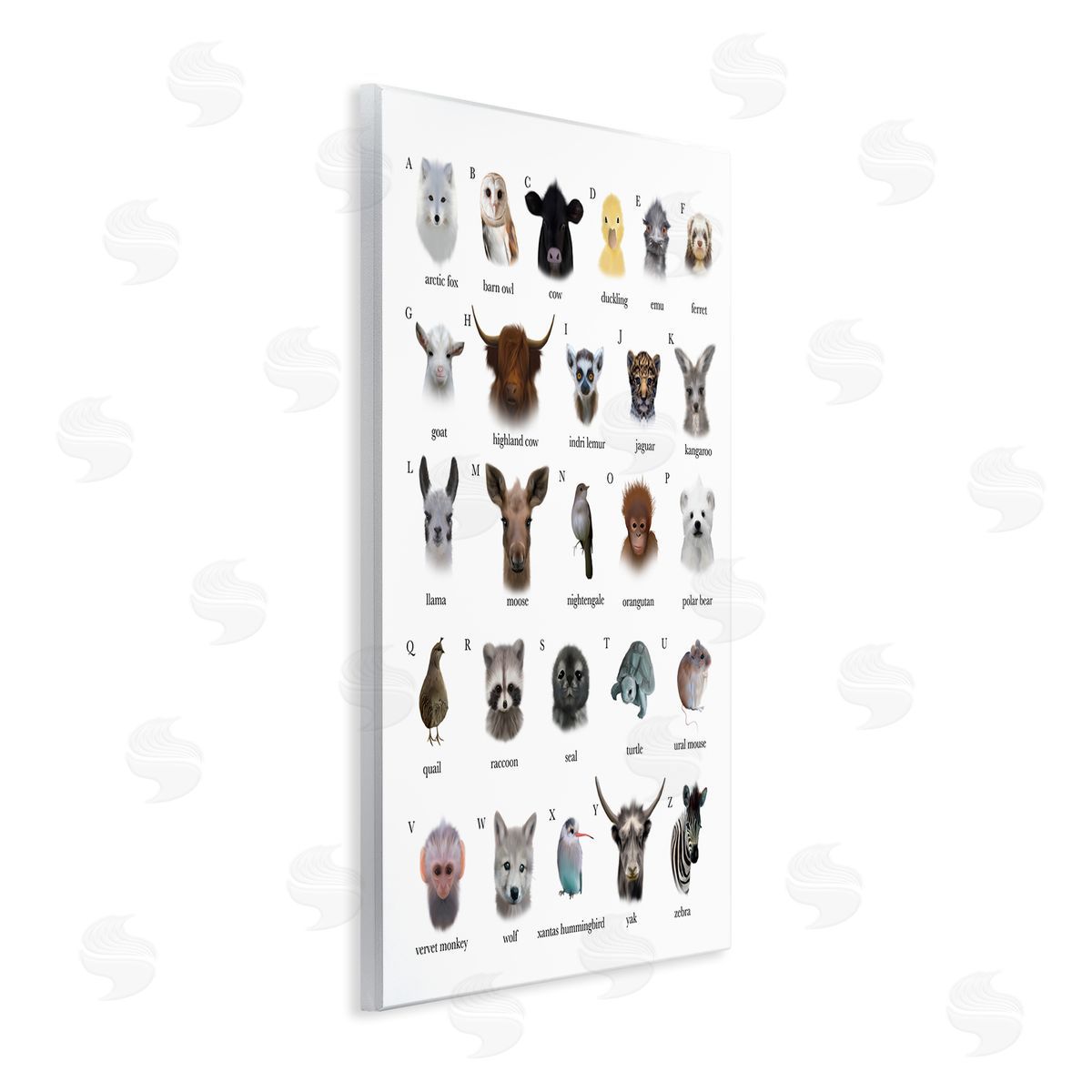 Leah Straatsma Alphabet Chart of Wild Animals over White Wall Plaque Art