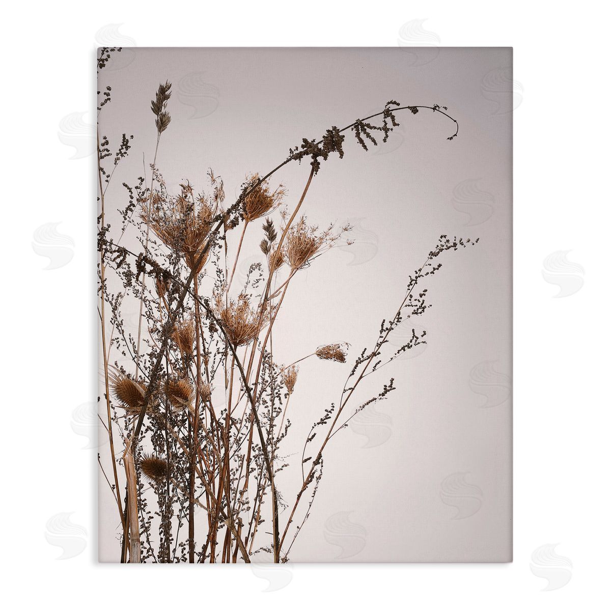 Design Fabrikken Autumn Thistles in the Sky Neutral Brown Beige Canvas Wall Art
