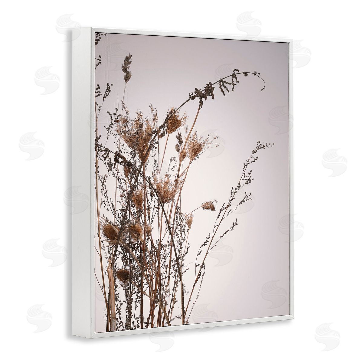 Design Fabrikken Autumn Thistles in the Sky Neutral Brown Beige White Framed Giclee Wall Art