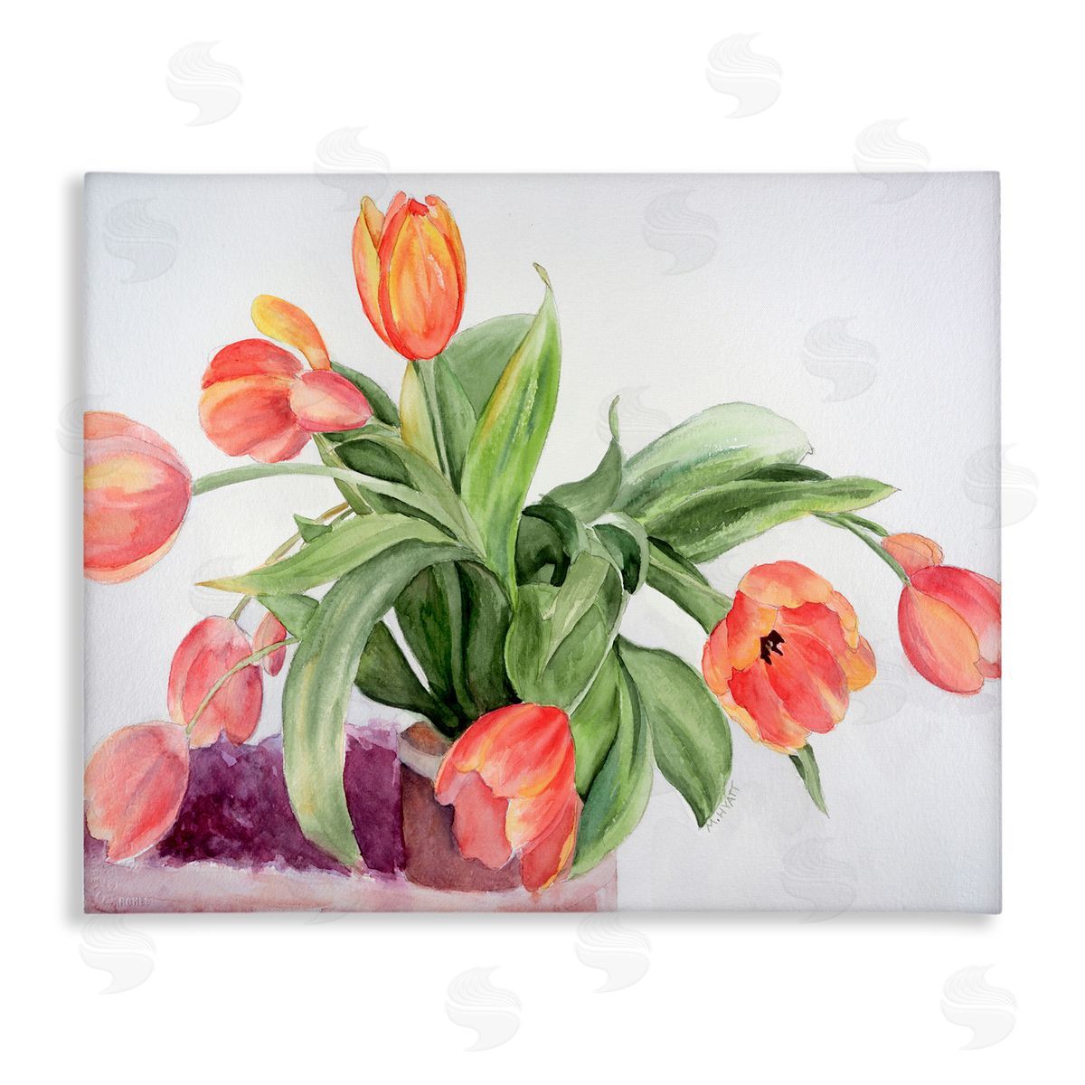 Melissa Hyatt Dancing Red Orange Tulip Flowers over White Canvas Wall Art