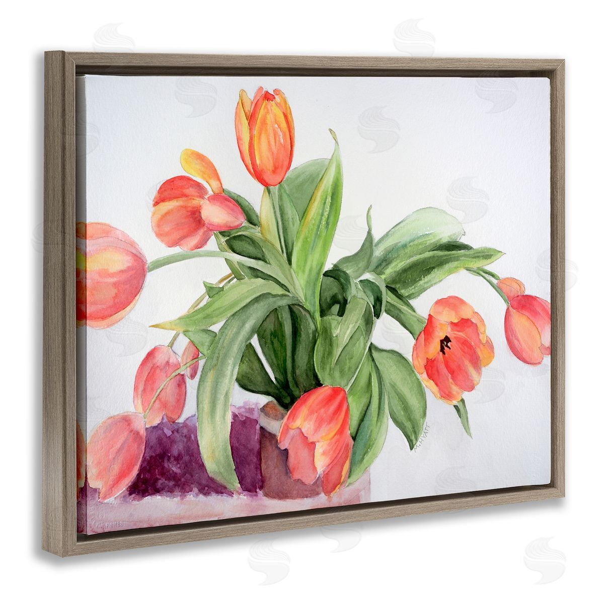 Melissa Hyatt Dancing Red Orange Tulip Flowers over White Brown Floater Frame Canvas Art