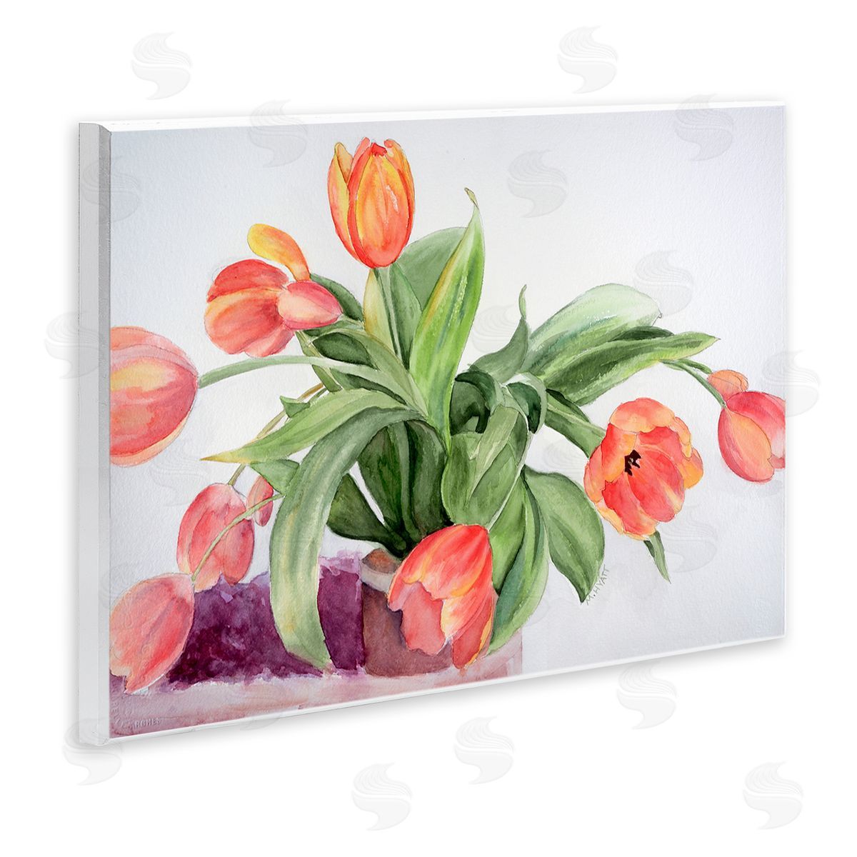 Melissa Hyatt Dancing Red Orange Tulip Flowers over White Wall Plaque Art