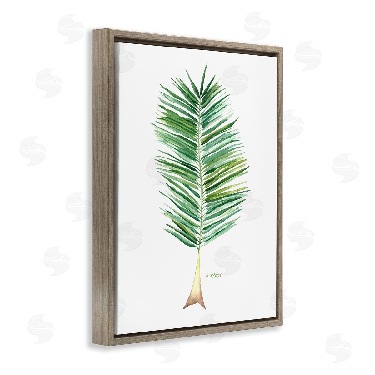 Melissa Hyatt Coconut Palm Fan Greenery Over White Brown Floater Frame Canvas Art