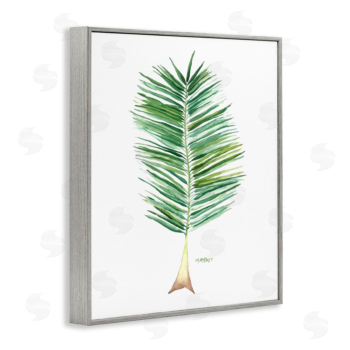 Melissa Hyatt Coconut Palm Fan Greenery Over White Gray Framed Giclee Wall Art