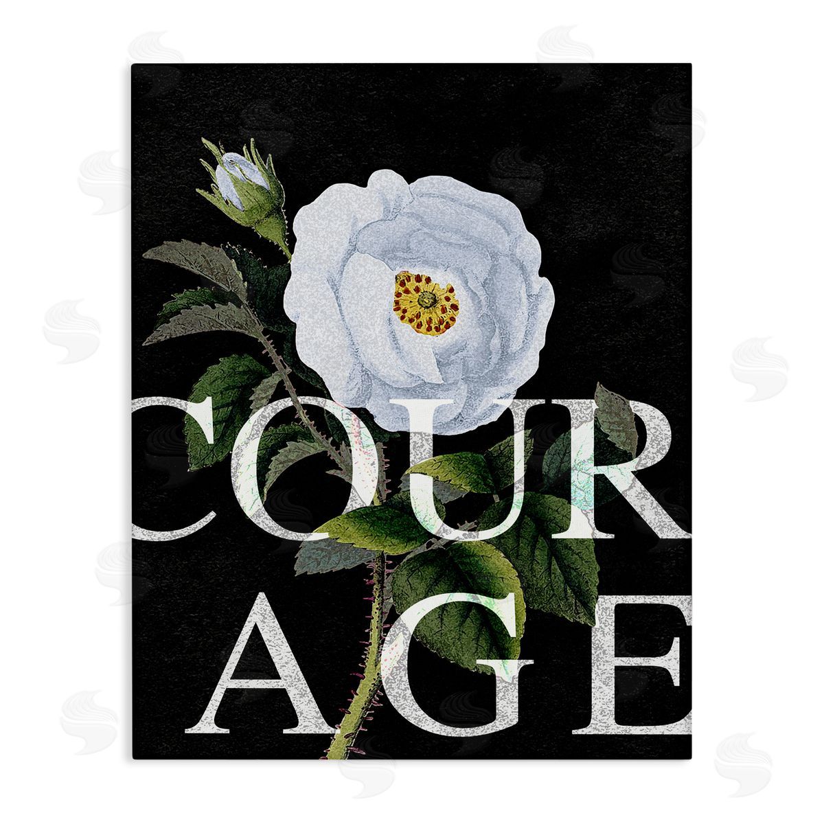 Stupell Studio Courage Text over Vintage White Rose Floral Canvas Wall Art