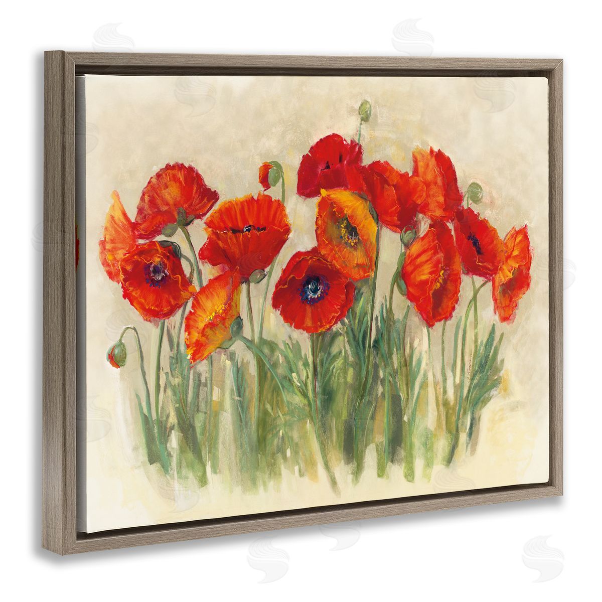 Carol Rowan Red Poppy Florals Soft Green Meadow Grass Brown Floater Frame Canvas Art