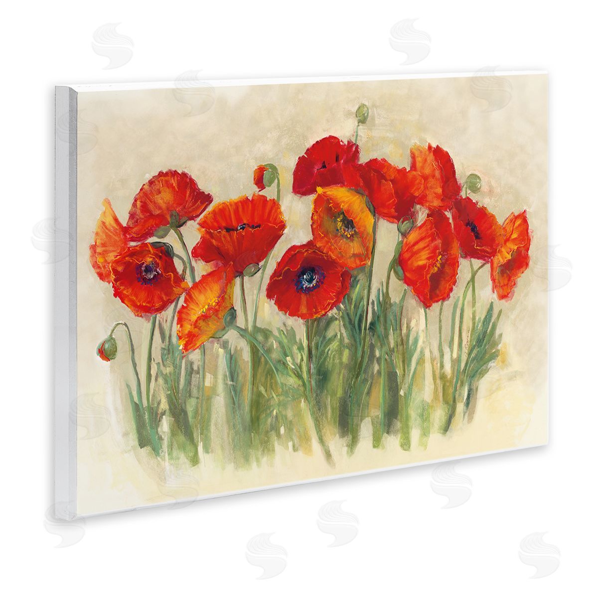 Carol Rowan Red Poppy Florals Soft Green Meadow Grass Wall Plaque Art