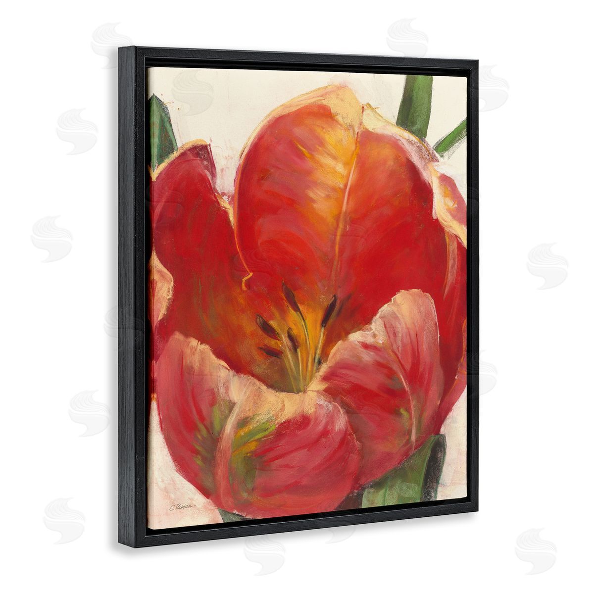 Carol Rowan Soft Red Tulip Floral Close-Up Petal Detail Black Floater Frame Canvas Art