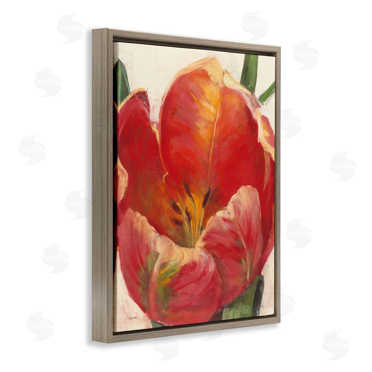 Carol Rowan Soft Red Tulip Floral Close-Up Petal Detail Brown Floater Frame Canvas Art