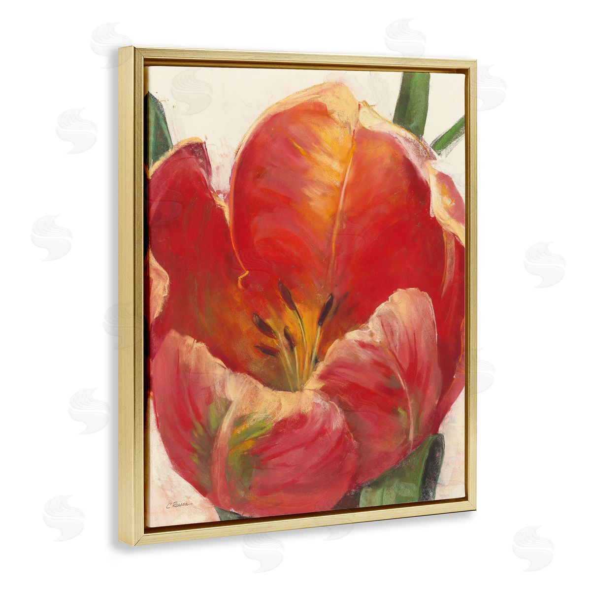 Carol Rowan Soft Red Tulip Floral Close-Up Petal Detail Gold Floater Frame Canvas Art