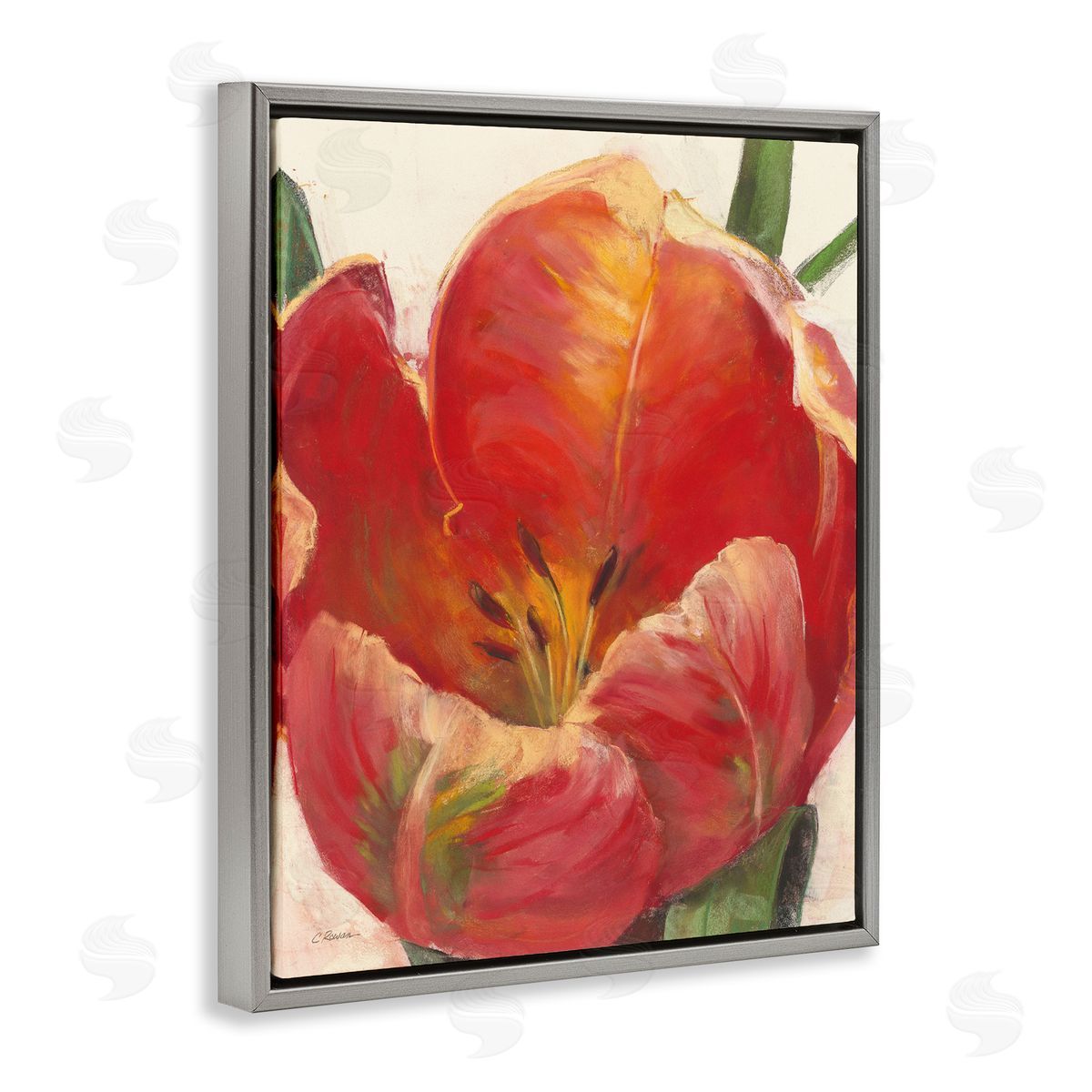 Carol Rowan Soft Red Tulip Floral Close-Up Petal Detail Gray Floater Frame Canvas Art