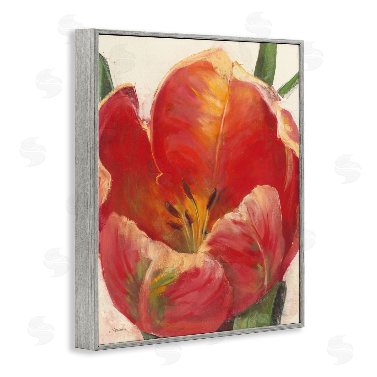 Carol Rowan Soft Red Tulip Floral Close-Up Petal Detail Gray Framed Giclee Wall Art