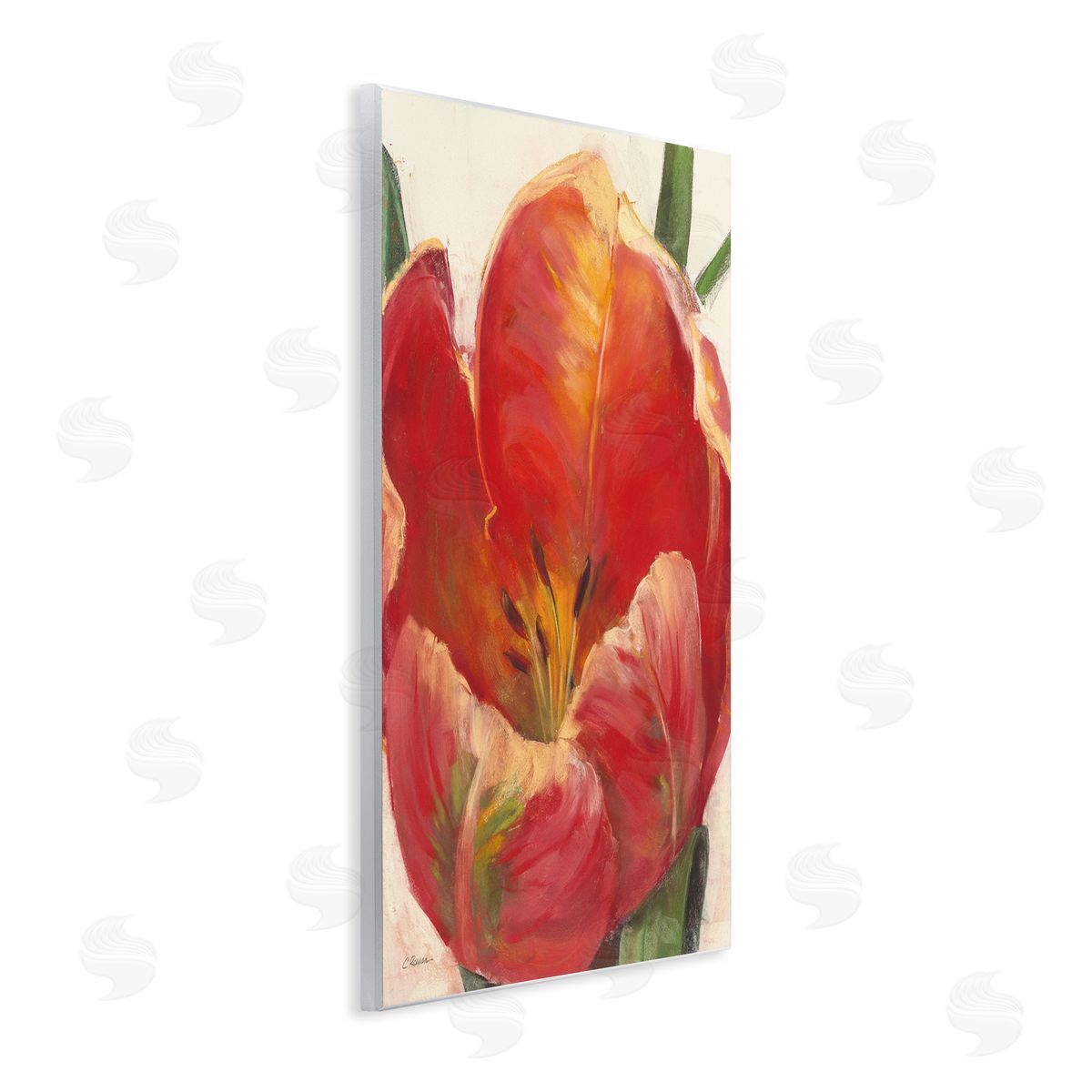 Carol Rowan Soft Red Tulip Floral Close-Up Petal Detail Wall Plaque Art