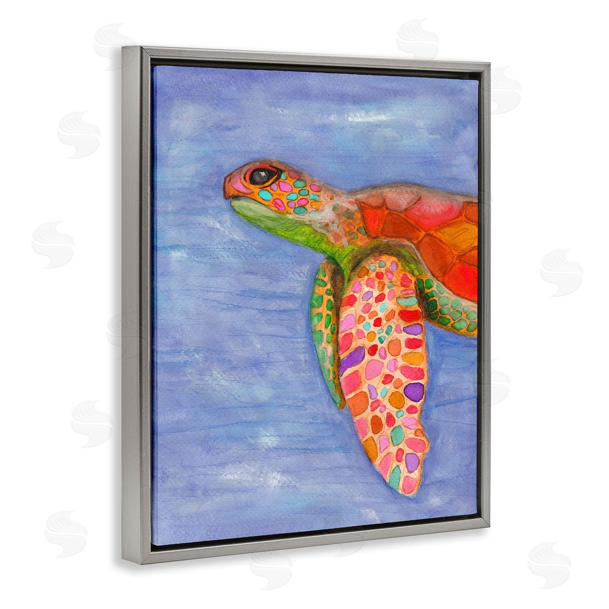 Elvira Errico Rainbow Sea Tortoise Soft Coastal Swimming Portrait Gray Floater Frame Canvas Art