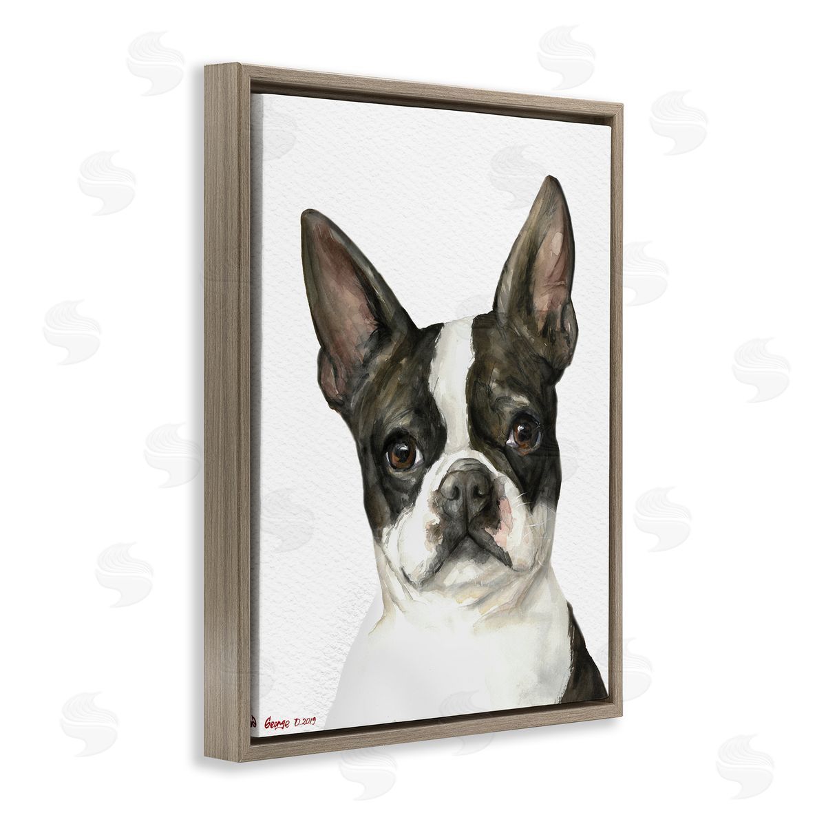 George Dyachenko Curious Boston Terrier Portrait Pet Dog Watercolor  Brown Floater Frame Canvas Art