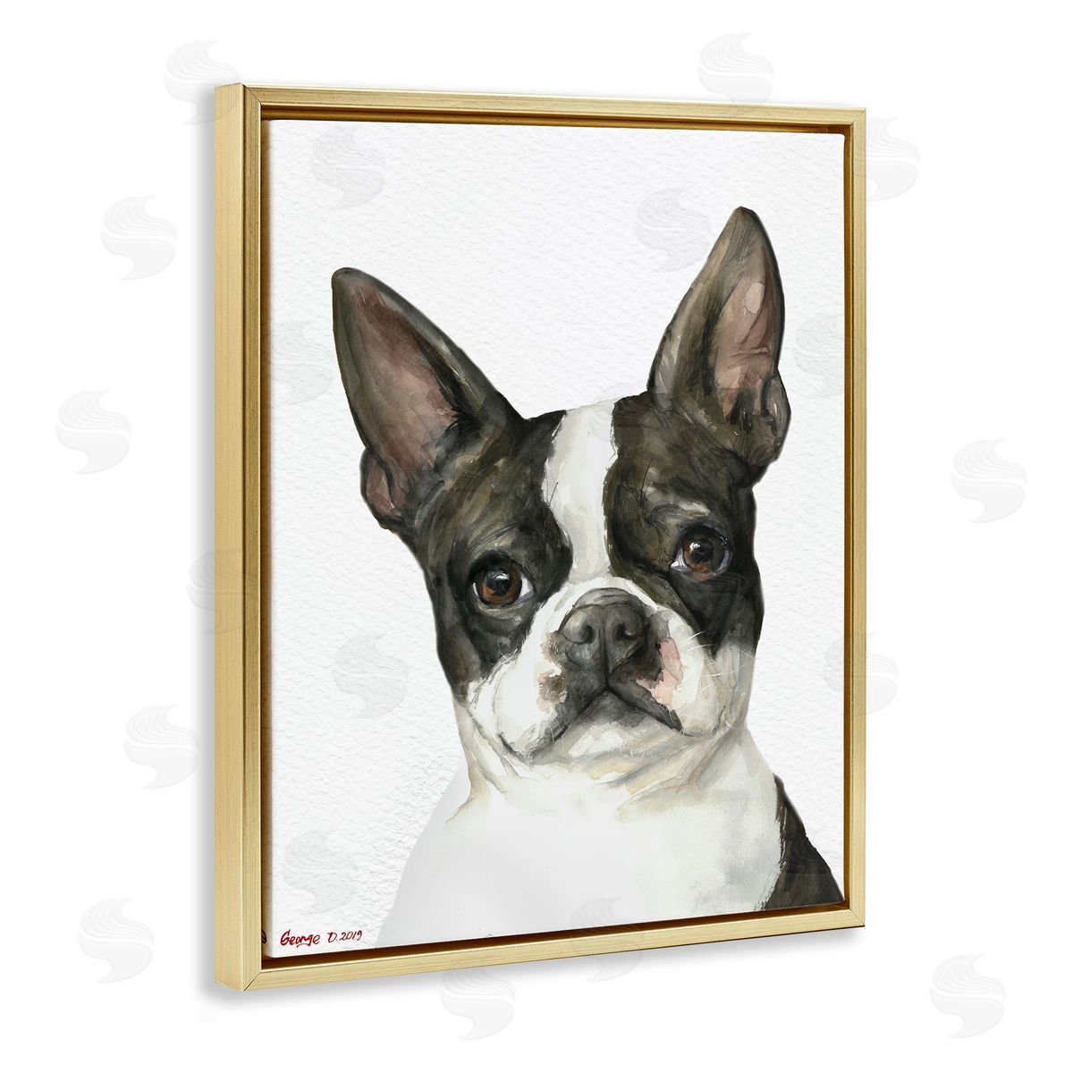 George Dyachenko Curious Boston Terrier Portrait Pet Dog Watercolor  Gold Floater Frame Canvas Art