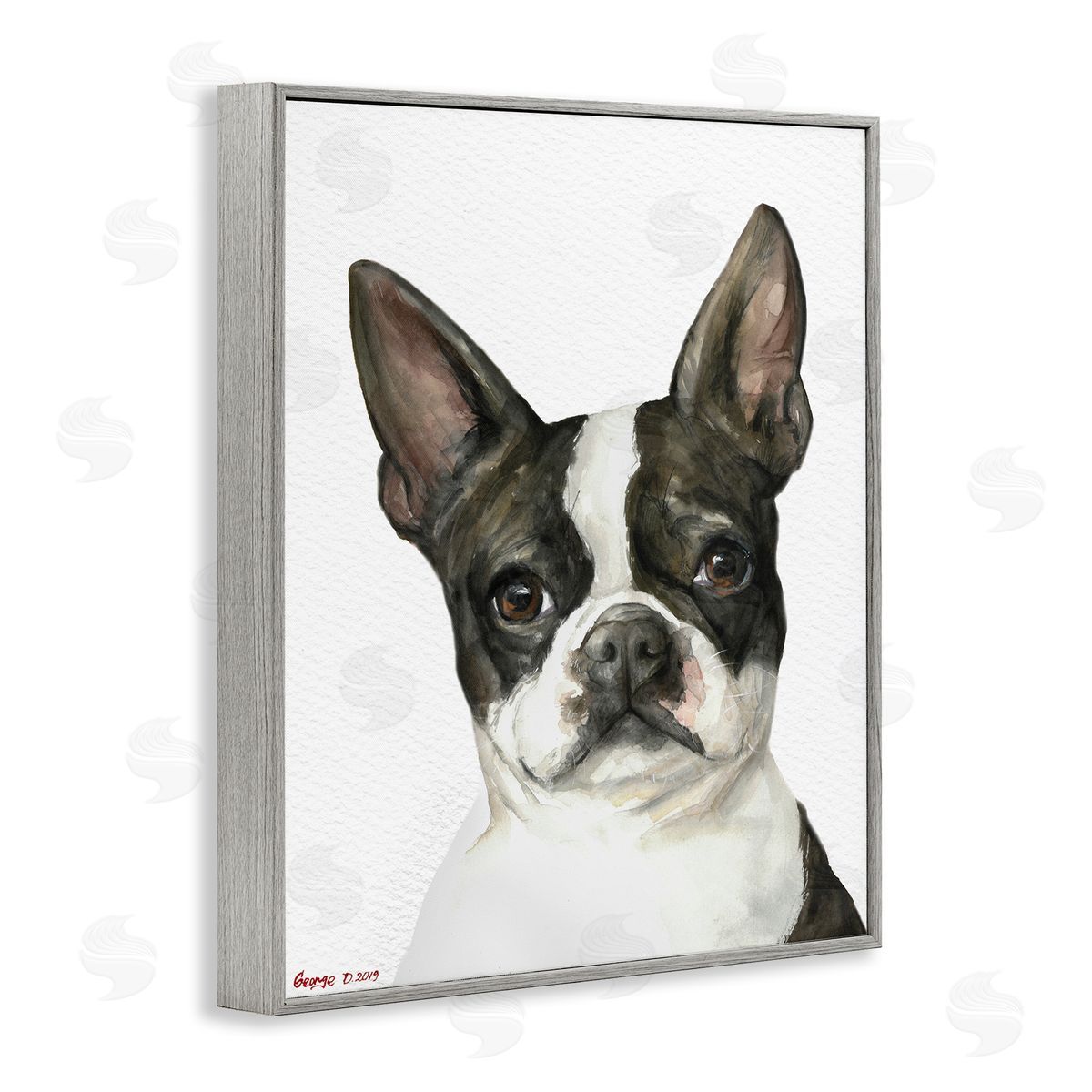 George Dyachenko Curious Boston Terrier Portrait Pet Dog Watercolor  Gray Framed Giclee Wall Art