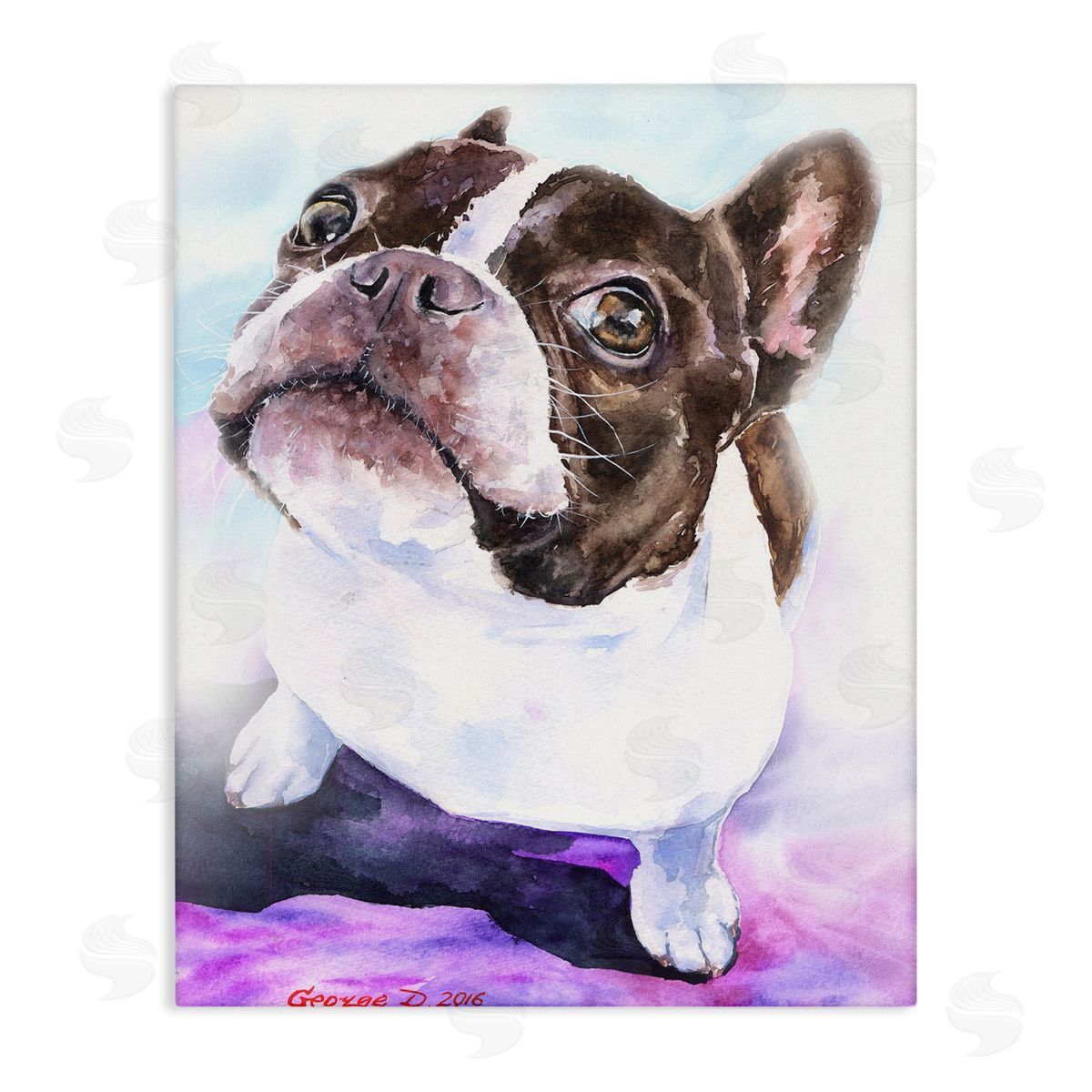 George Dyachenko Happy Boston Terrier Pet Dog Portrait Black Purple Canvas Wall Art