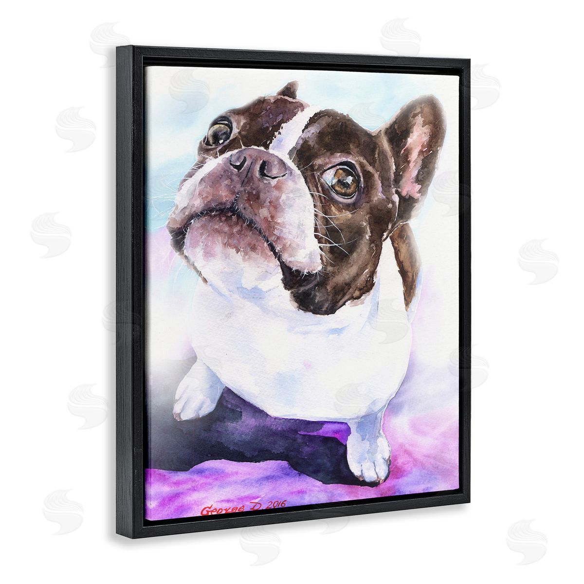 George Dyachenko Happy Boston Terrier Pet Dog Portrait Black Purple Black Floater Frame Canvas Art