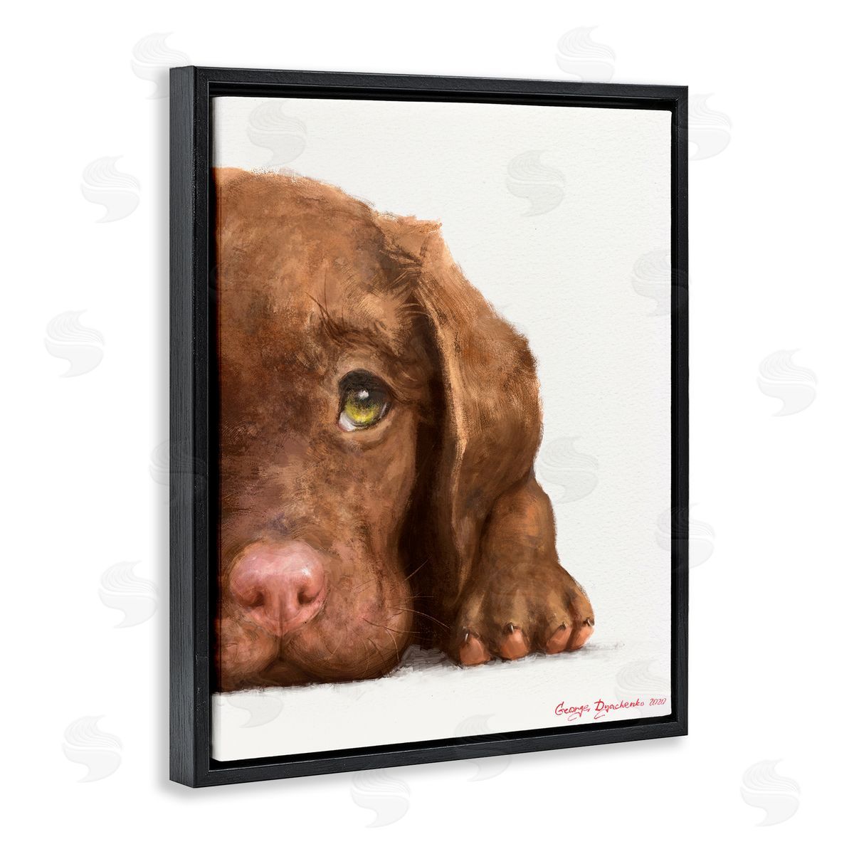 George Dyachenko Chocolate Labrador Puppy Resting Adorable Dog Portrait Black Floater Frame Canvas Art