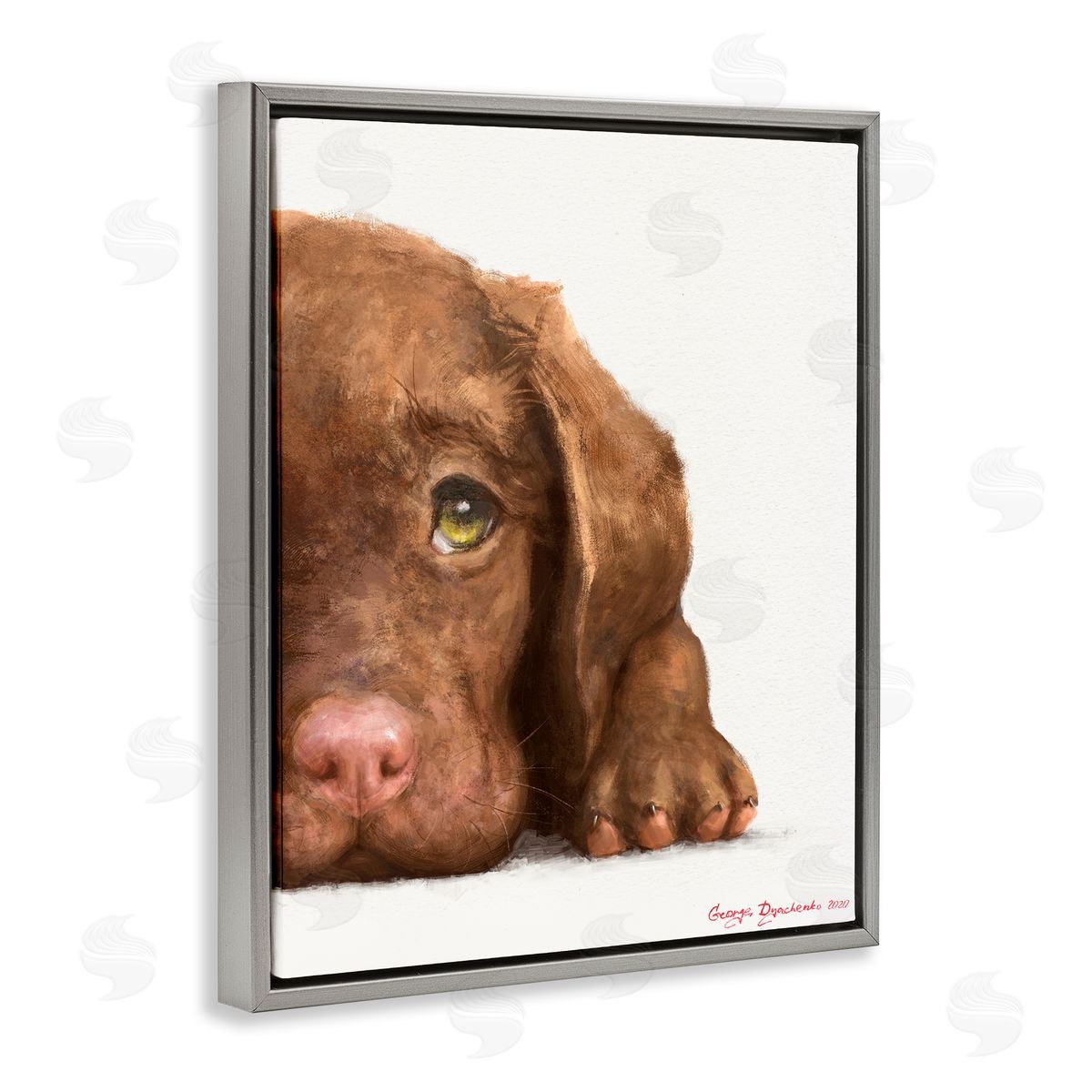 George Dyachenko Chocolate Labrador Puppy Resting Adorable Dog Portrait Gray Floater Frame Canvas Art