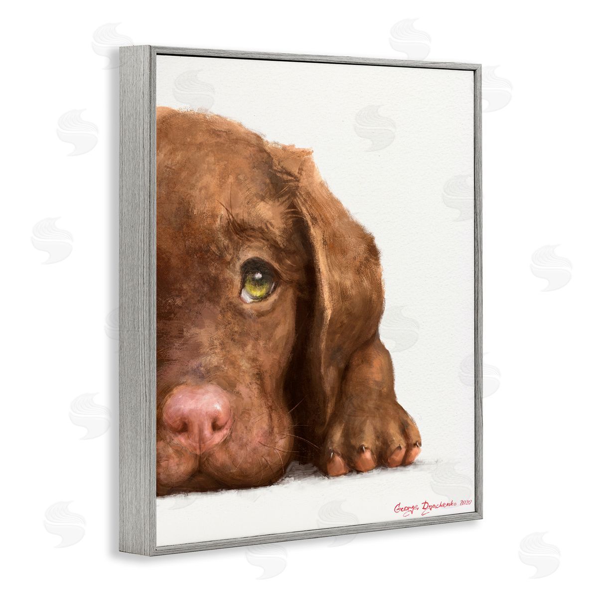 George Dyachenko Chocolate Labrador Puppy Resting Adorable Dog Portrait Gray Framed Giclee Wall Art