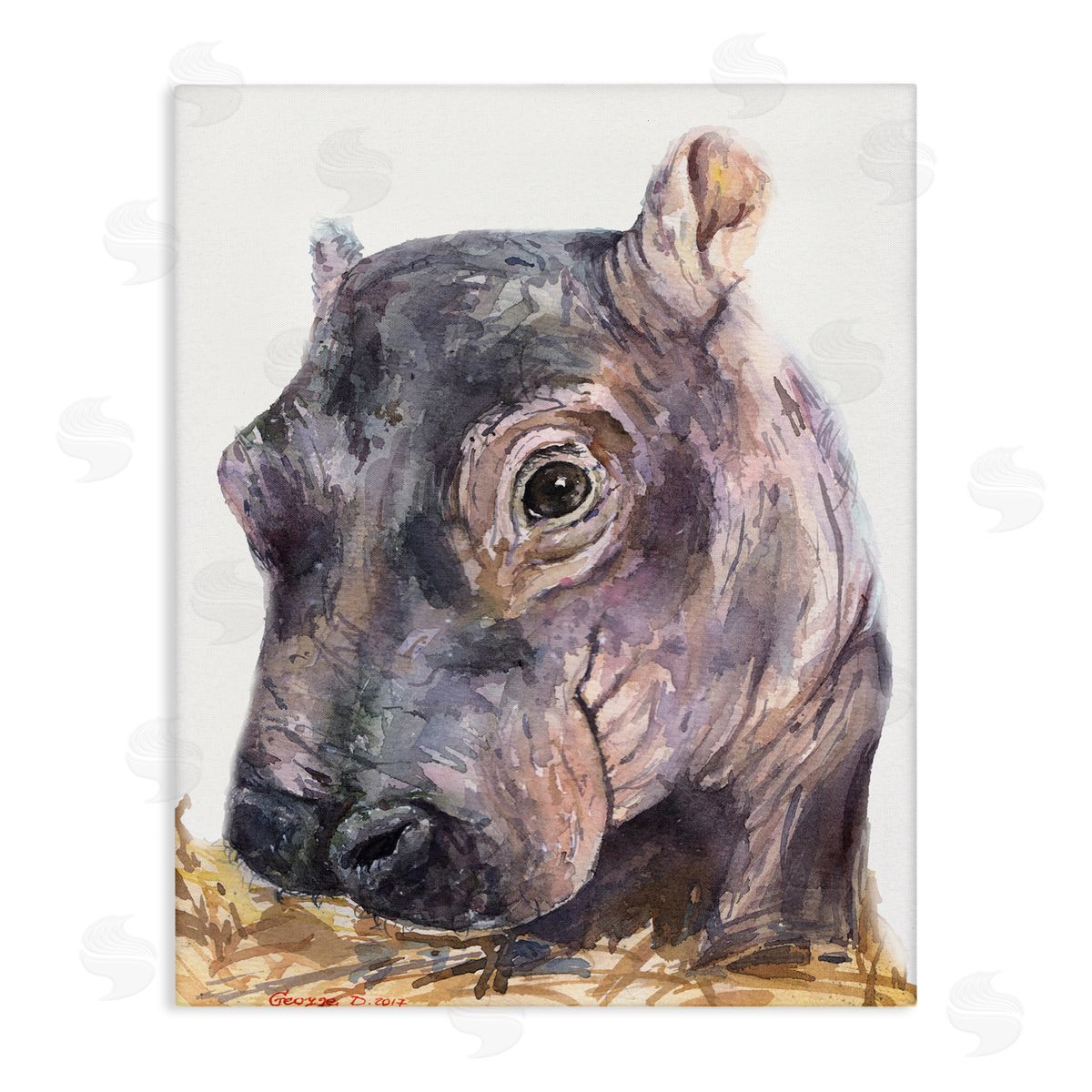 George Dyachenko Baby Hippo Portrait Adorable Grey Safari Animal  Canvas Wall Art