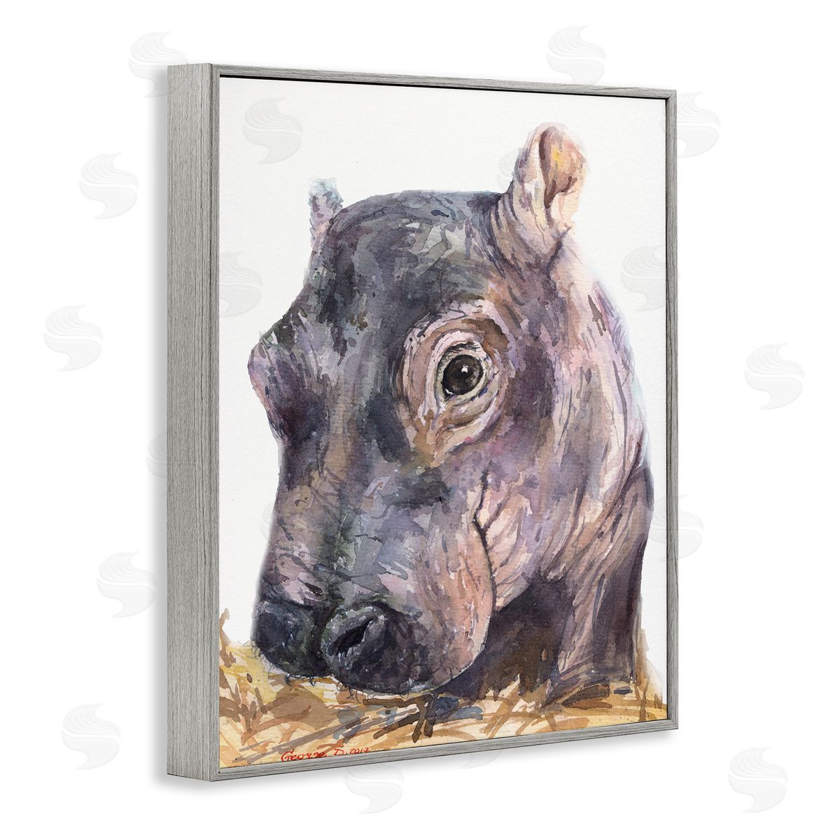 George Dyachenko Baby Hippo Portrait Adorable Grey Safari Animal  Gray Framed Giclee Wall Art