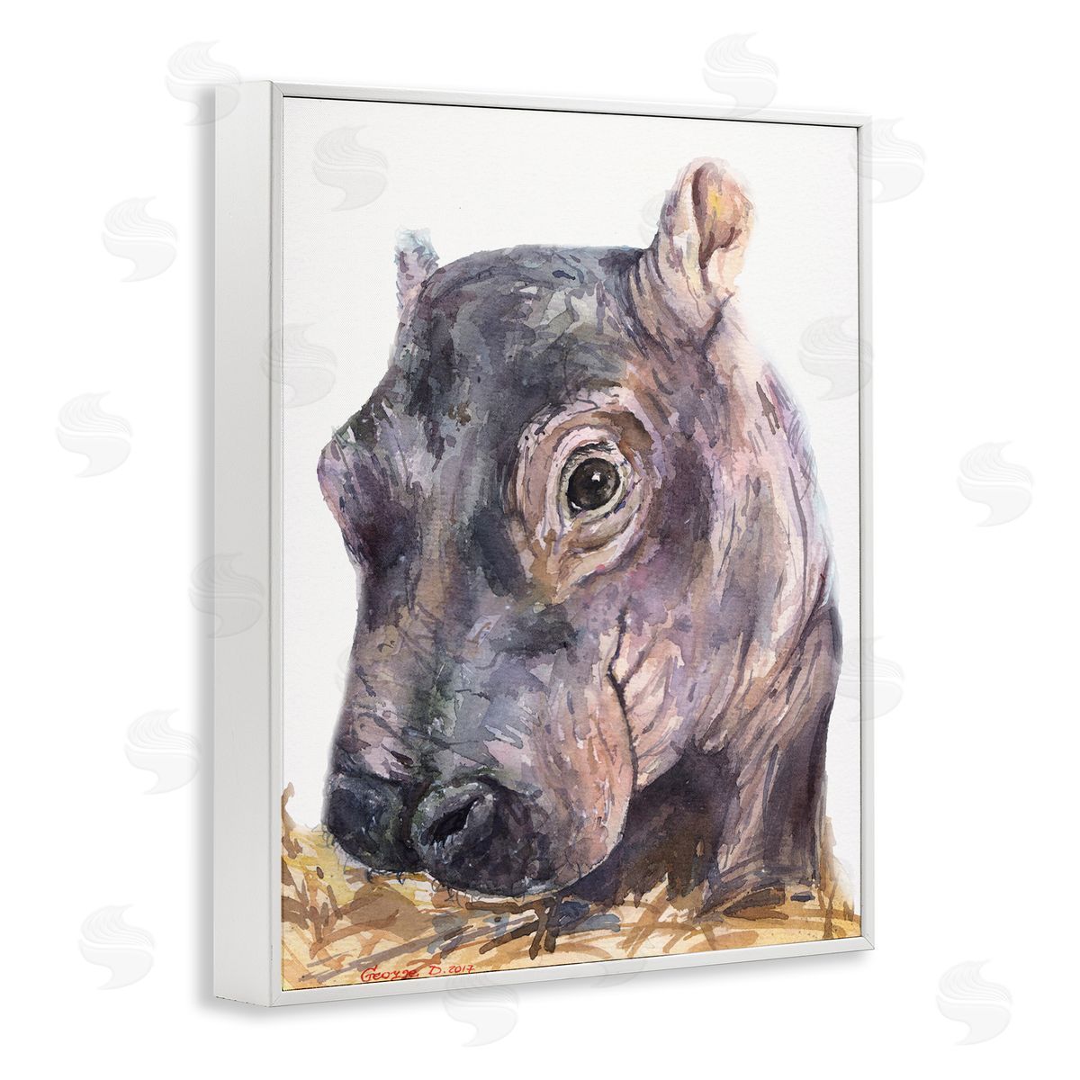George Dyachenko Baby Hippo Portrait Adorable Grey Safari Animal  White Framed Giclee Wall Art