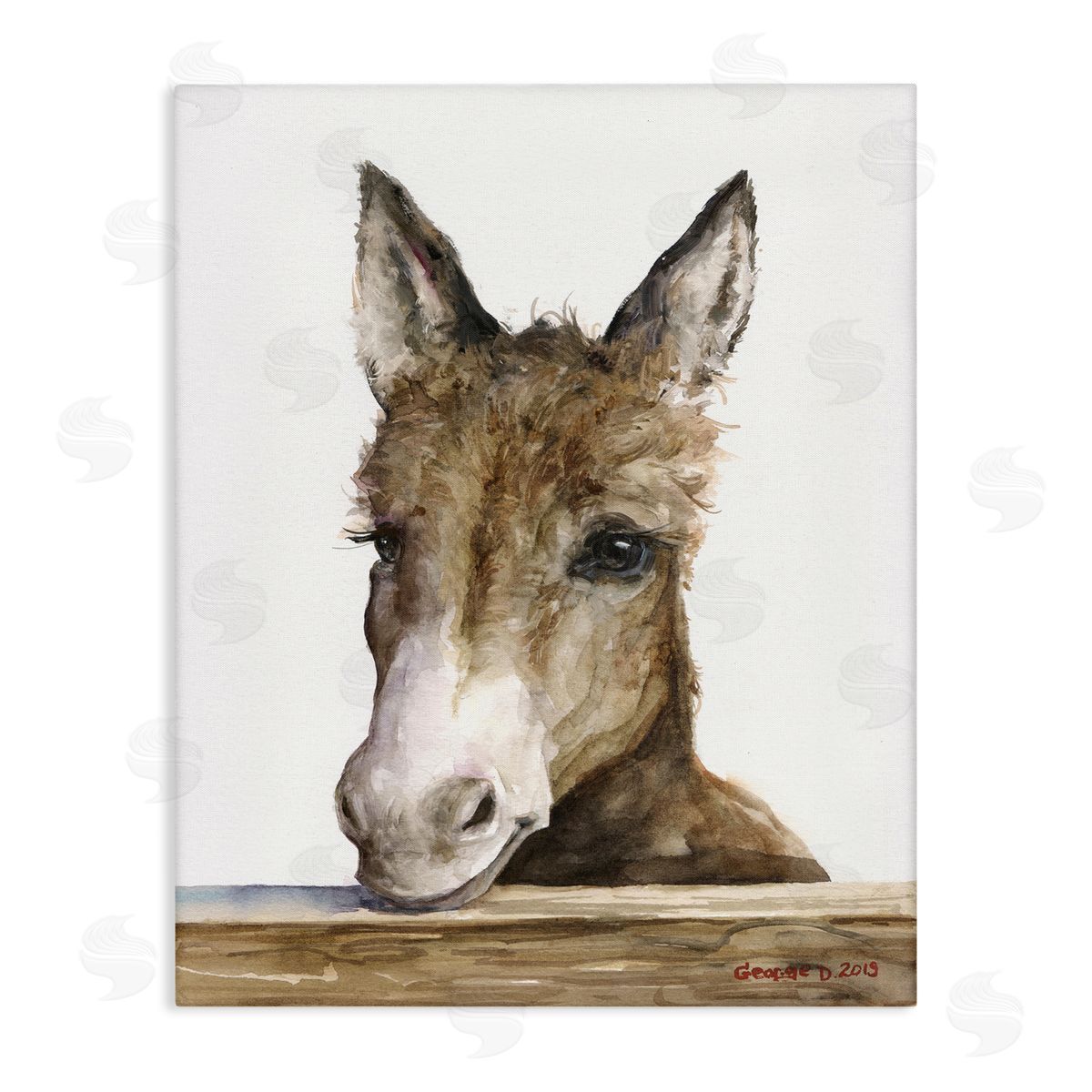 George Dyachenko Baby Donkey Portrait Adorable Farm Animal Canvas Wall Art