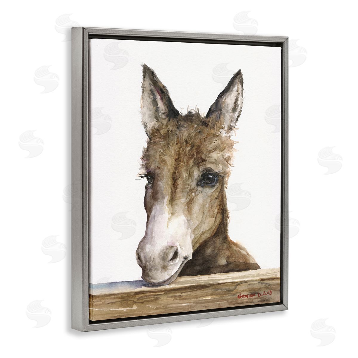 George Dyachenko Baby Donkey Portrait Adorable Farm Animal Gray Floater Frame Canvas Art