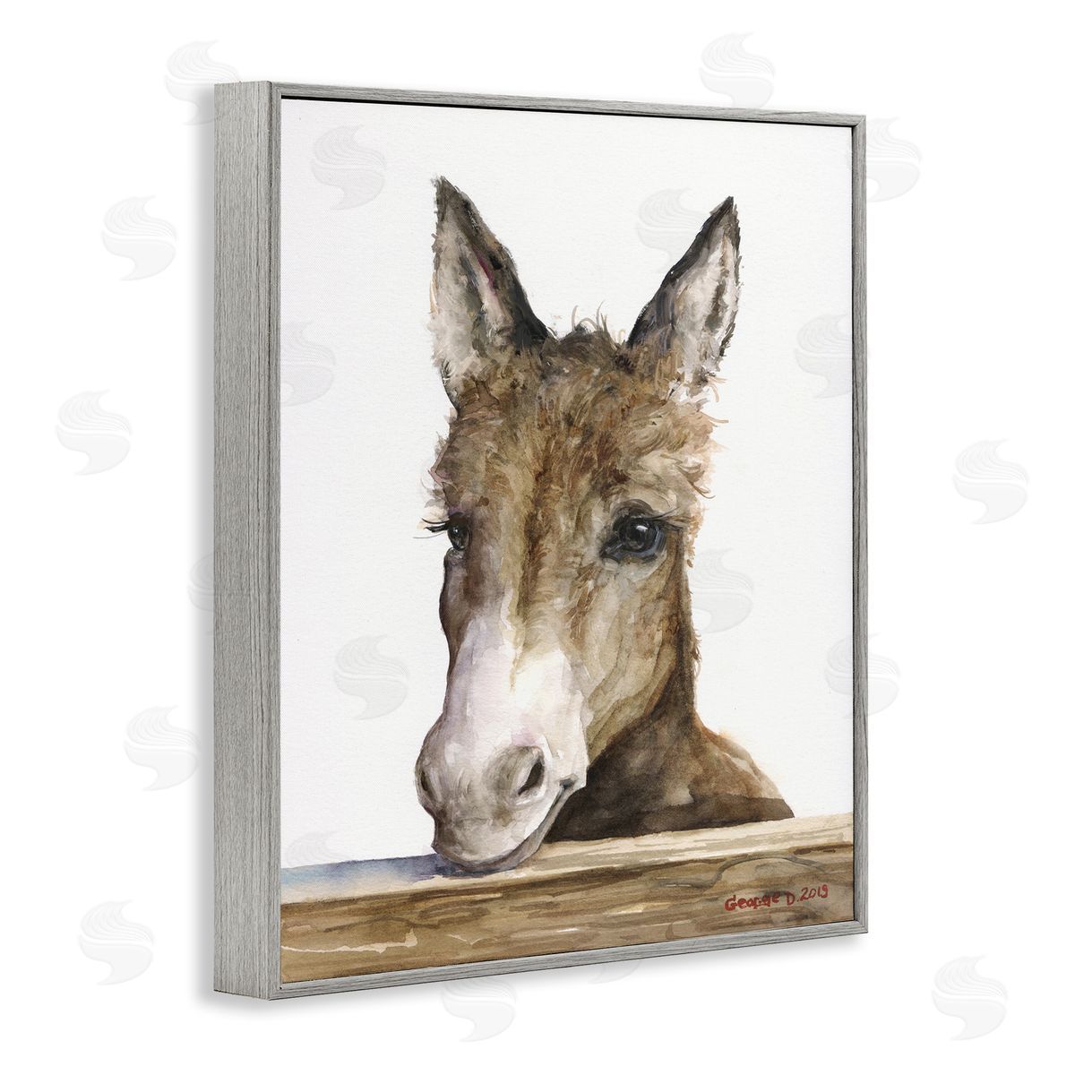 George Dyachenko Baby Donkey Portrait Adorable Farm Animal Gray Framed Giclee Wall Art