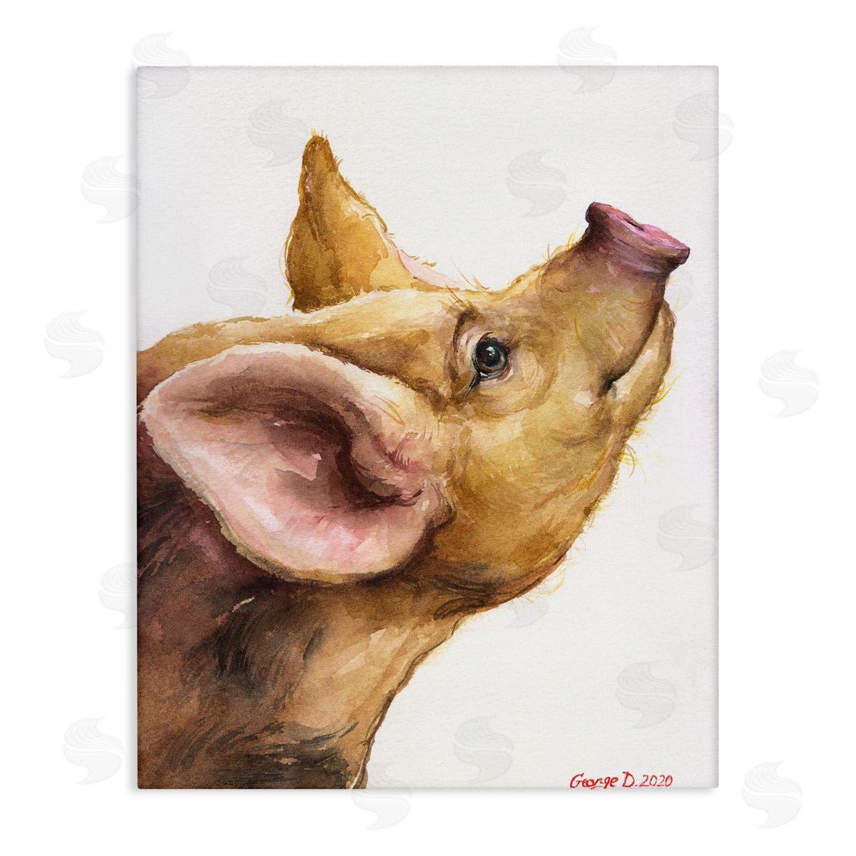 George Dyachenko Oxford Sandy Piglet Adorable Farm Animal Gaze Canvas Wall Art
