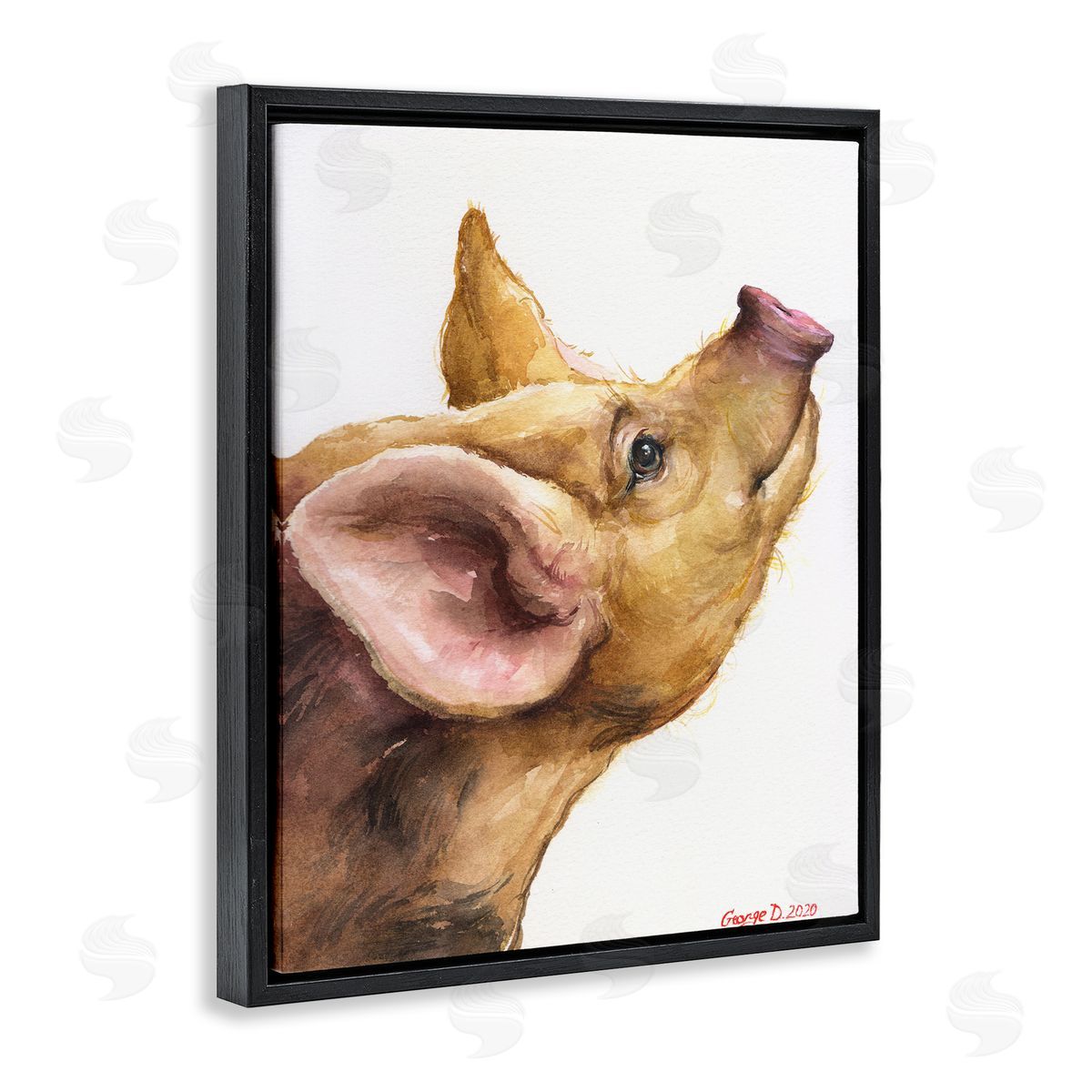 George Dyachenko Oxford Sandy Piglet Adorable Farm Animal Gaze Black Floater Frame Canvas Art