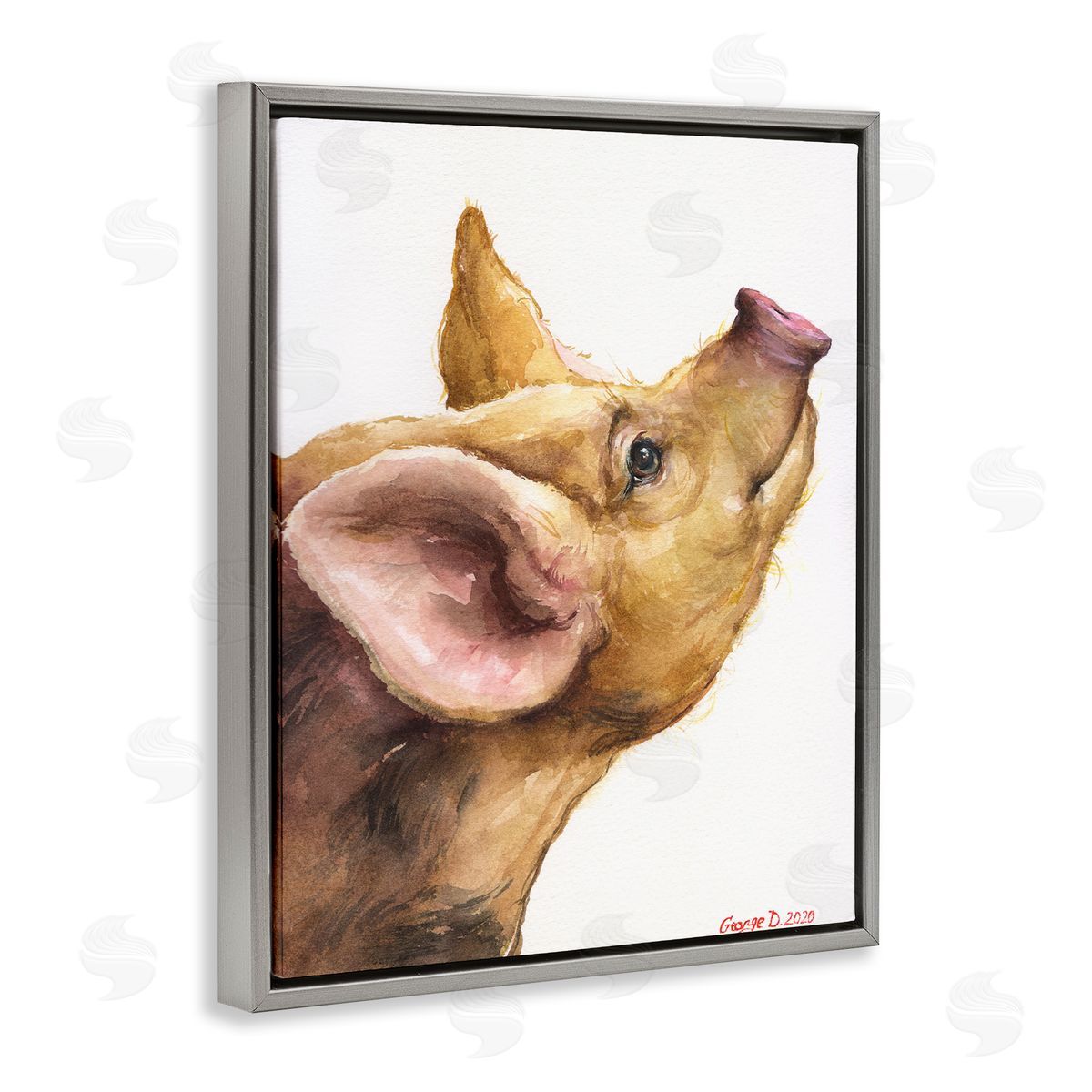 George Dyachenko Oxford Sandy Piglet Adorable Farm Animal Gaze Gray Floater Frame Canvas Art