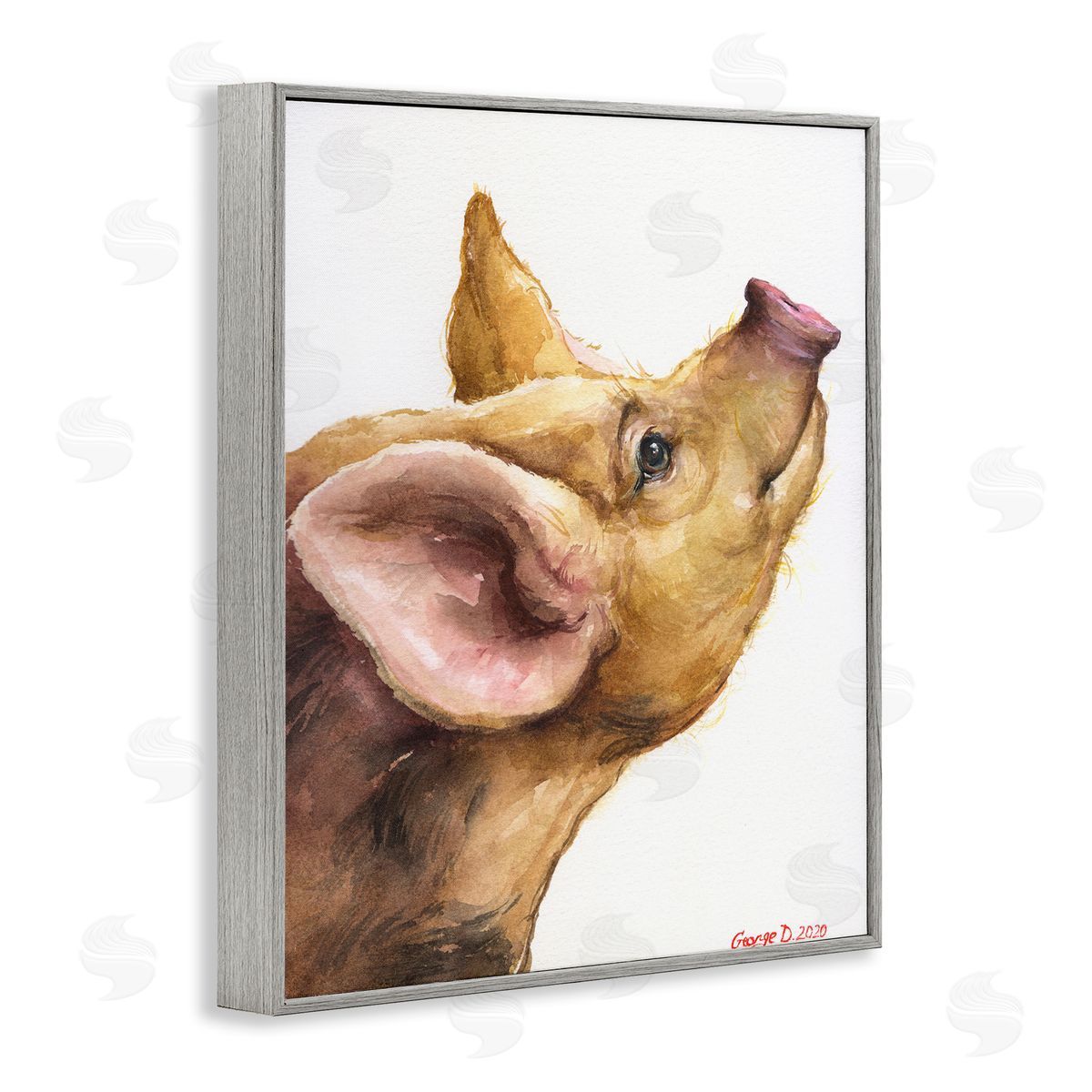 George Dyachenko Oxford Sandy Piglet Adorable Farm Animal Gaze Gray Framed Giclee Wall Art