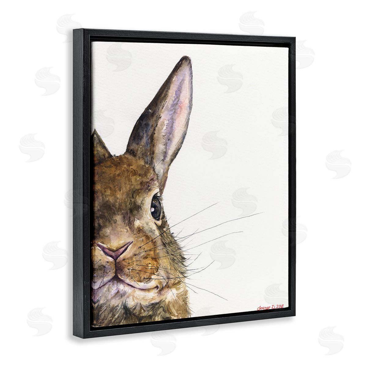 George Dyachenko Farm Rabbit Gaze Adorable Whiskered Animal Black Floater Frame Canvas Art