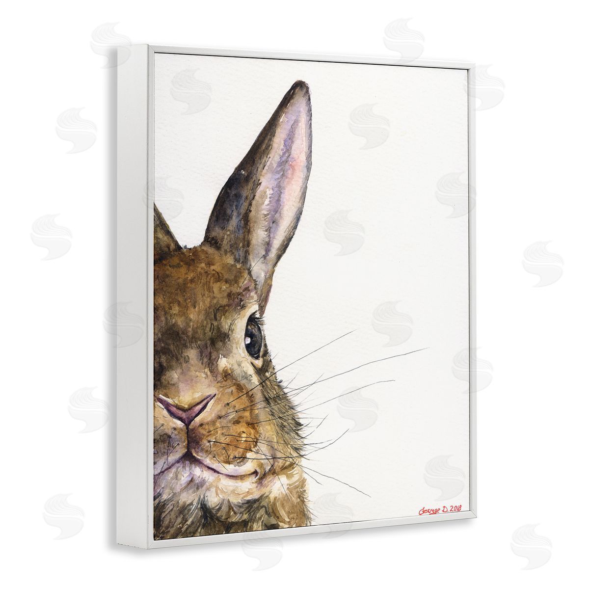 George Dyachenko Farm Rabbit Gaze Adorable Whiskered Animal White Framed Giclee Wall Art