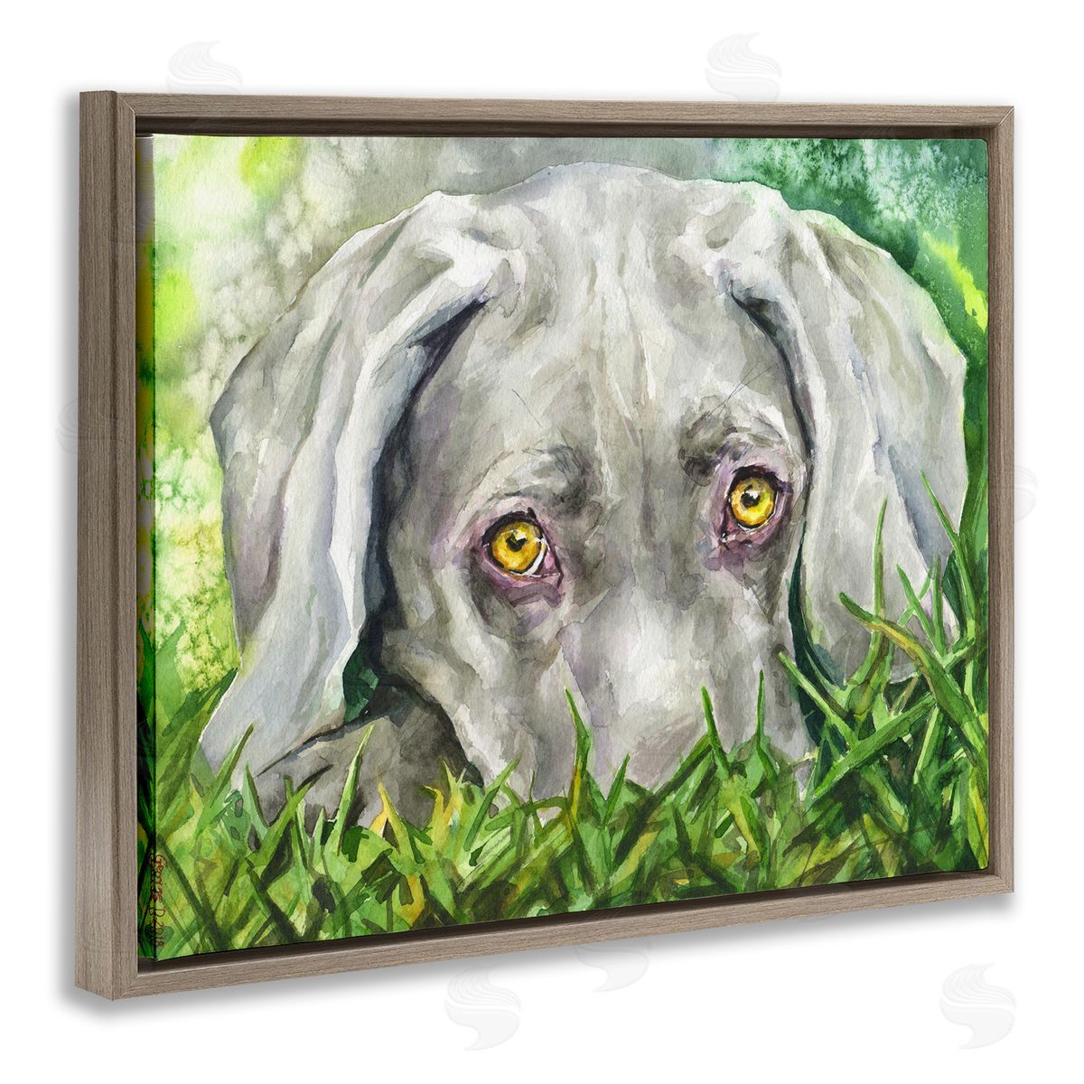 George Dyachenko Weimaraner Puppy Dog Resting In Green Grass Brown Floater Frame Canvas Art