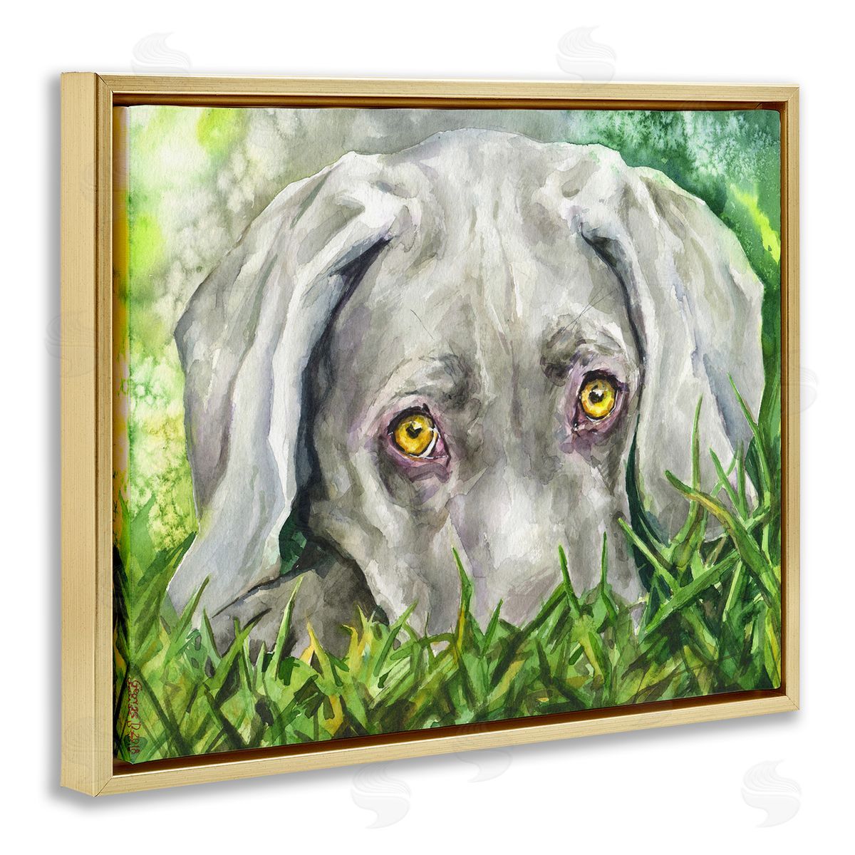 George Dyachenko Weimaraner Puppy Dog Resting In Green Grass Gold Floater Frame Canvas Art