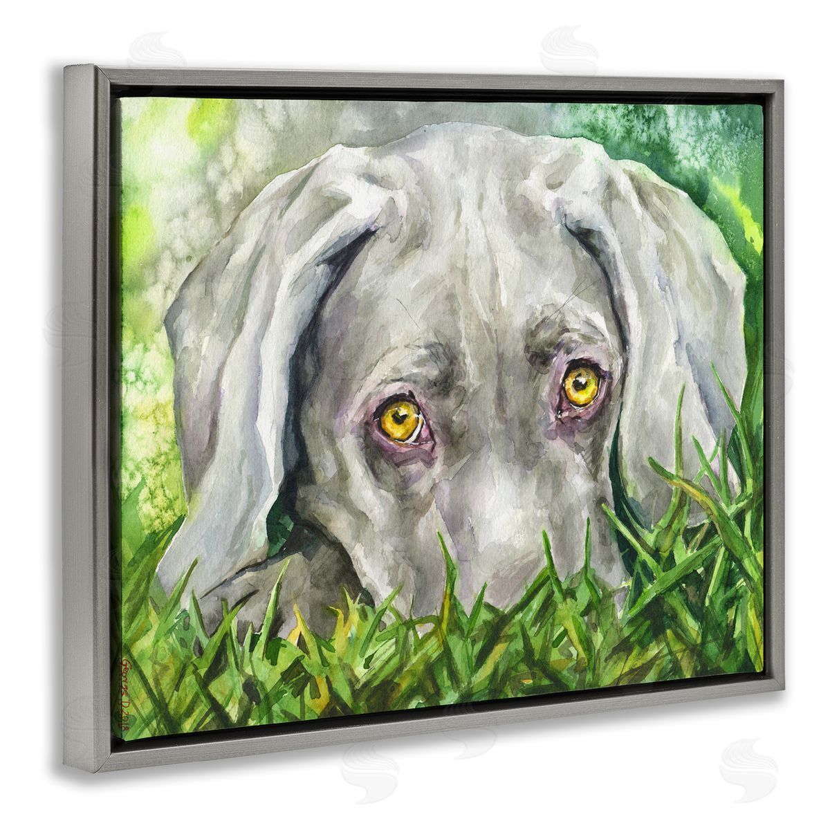 George Dyachenko Weimaraner Puppy Dog Resting In Green Grass Gray Floater Frame Canvas Art