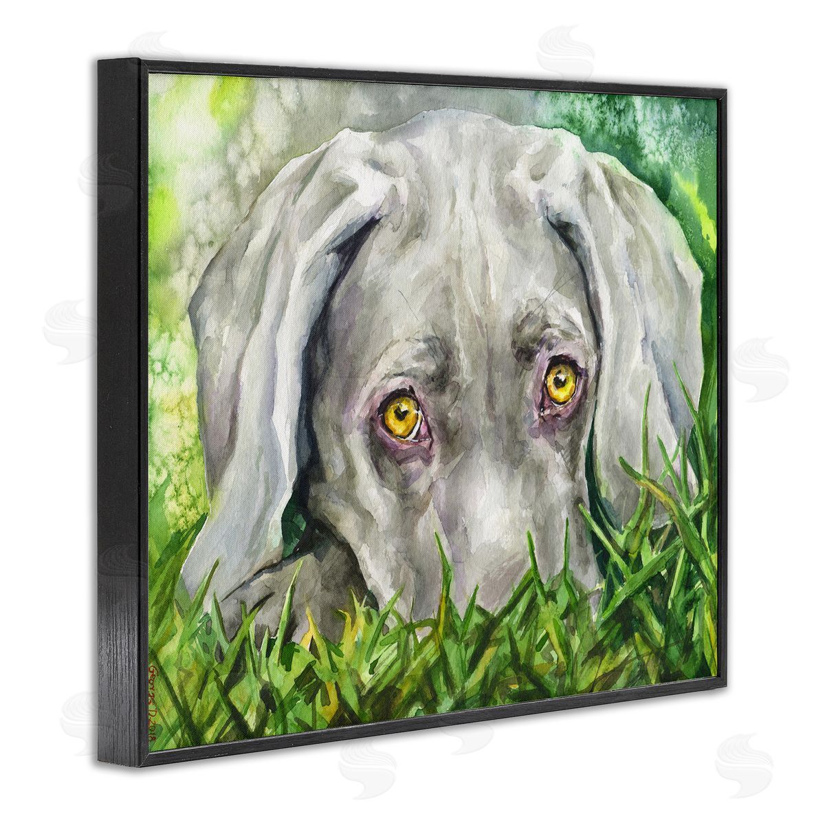 George Dyachenko Weimaraner Puppy Dog Resting In Green Grass Black Framed Giclee Wall Art