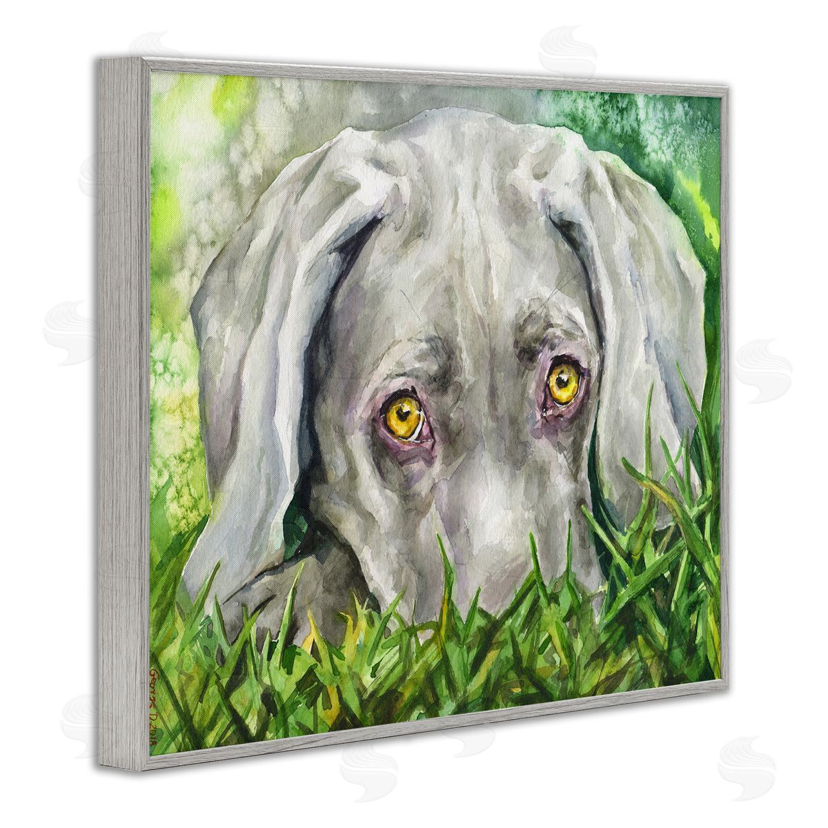 George Dyachenko Weimaraner Puppy Dog Resting In Green Grass Gray Framed Giclee Wall Art