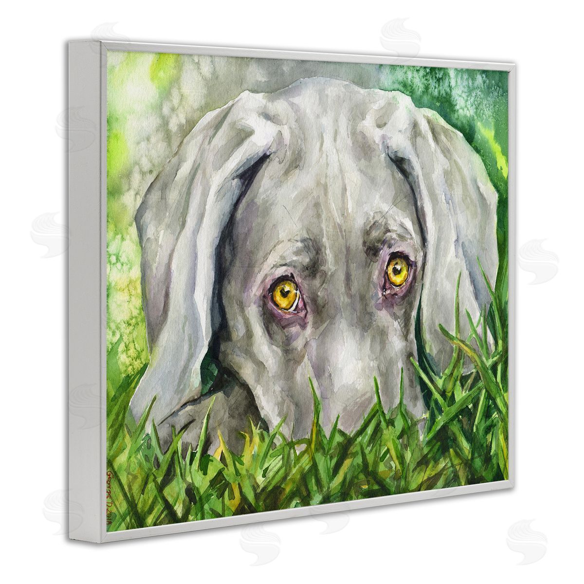 George Dyachenko Weimaraner Puppy Dog Resting In Green Grass White Framed Giclee Wall Art