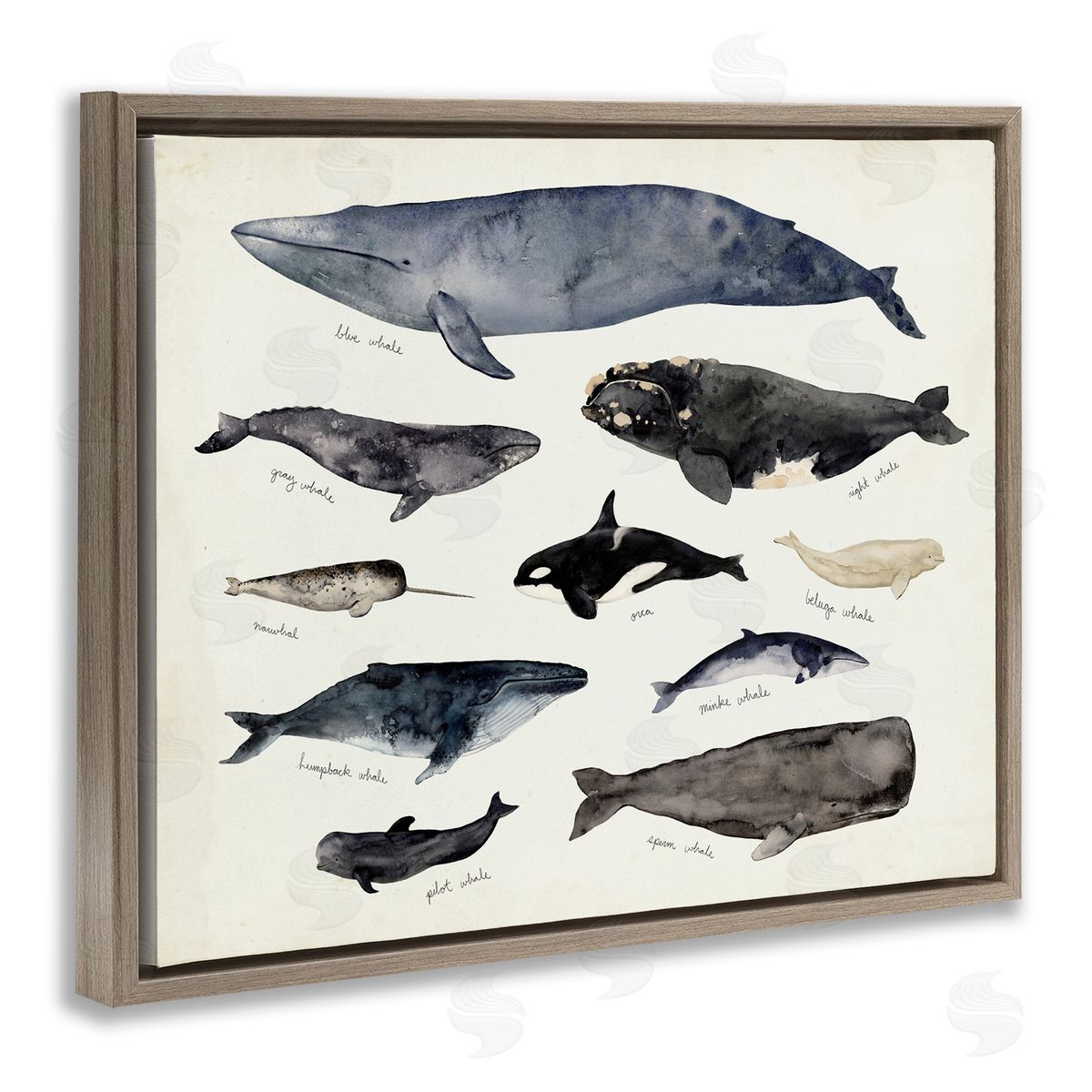 Victoria Barnes Vintage Nautical Chart of Whales Ocean Life Brown Floater Frame Canvas Art