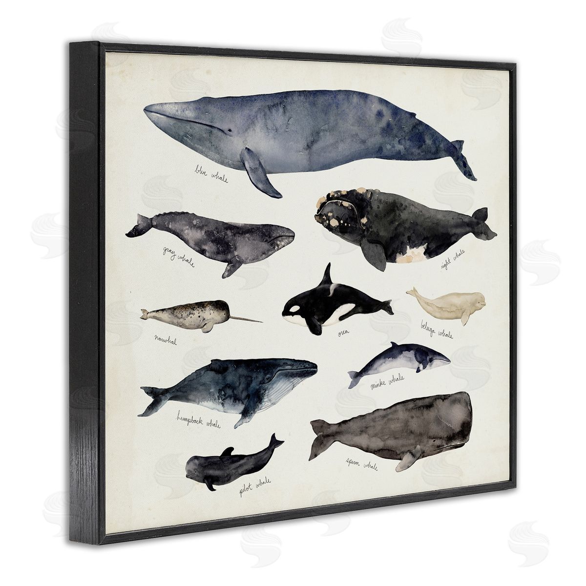 Victoria Barnes Vintage Nautical Chart of Whales Ocean Life Black Framed Giclee Wall Art