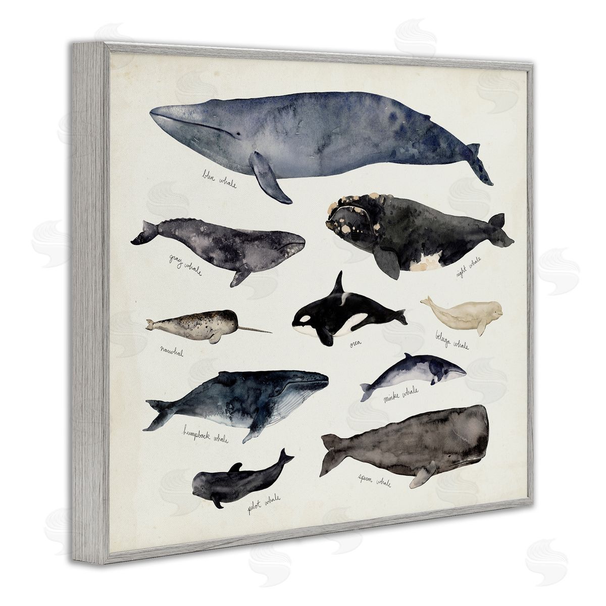 Victoria Barnes Vintage Nautical Chart of Whales Ocean Life Gray Framed Giclee Wall Art