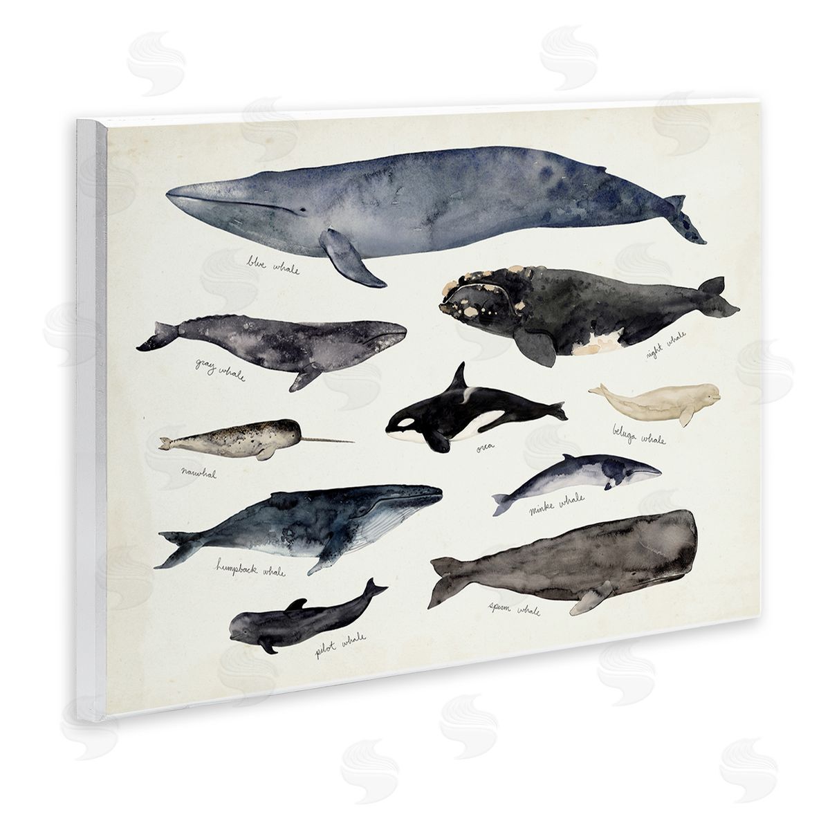 Victoria Barnes Vintage Nautical Chart of Whales Ocean Life Wall Plaque Art