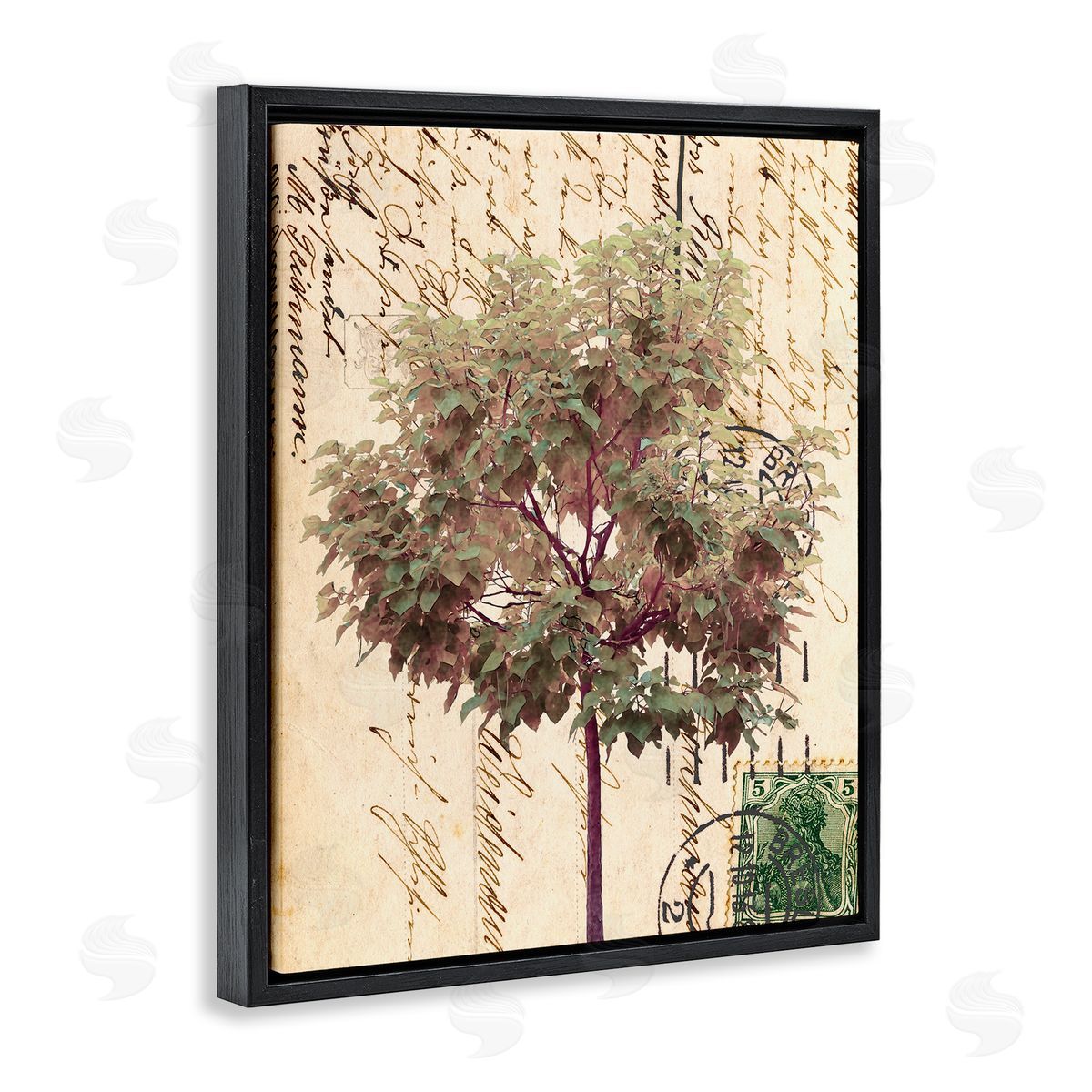 Alonzo Saunders Vintage Postal Script Note Red Root Tree Black Floater Frame Canvas Art