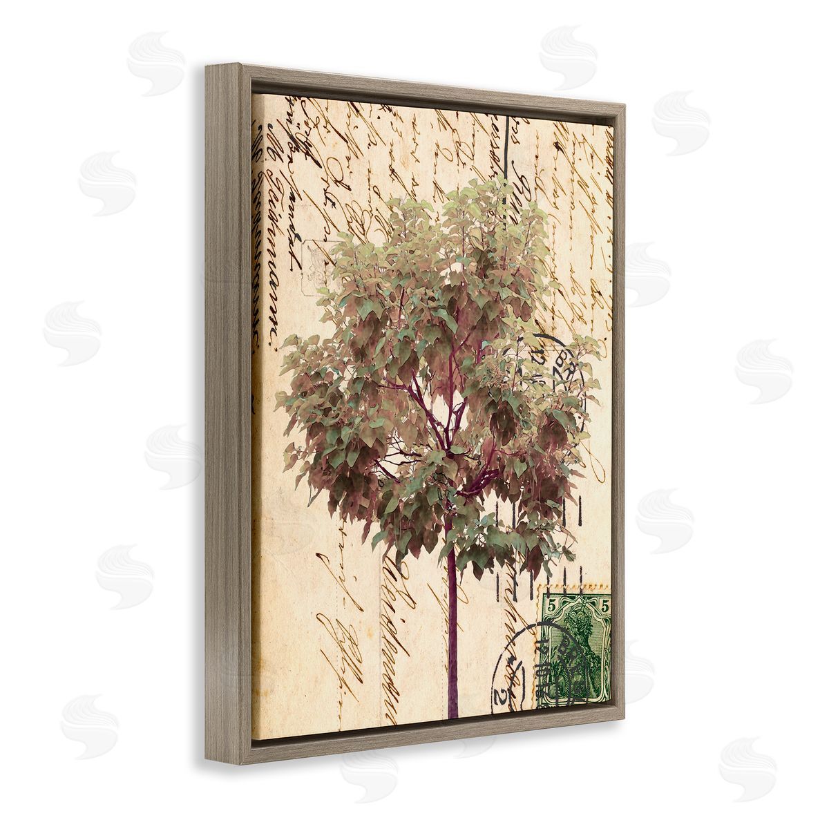 Alonzo Saunders Vintage Postal Script Note Red Root Tree Brown Floater Frame Canvas Art